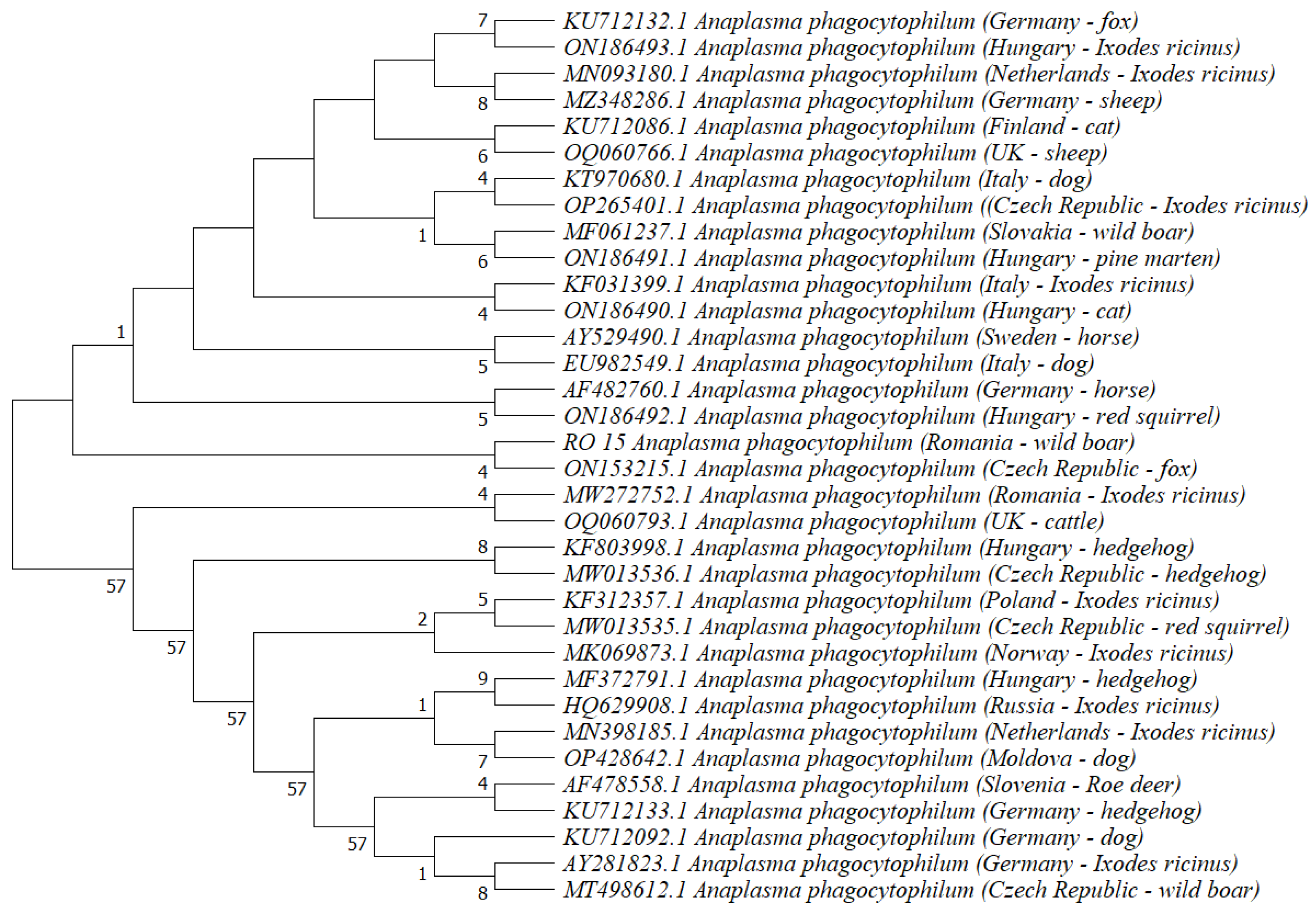 Animals 13 01743 g001