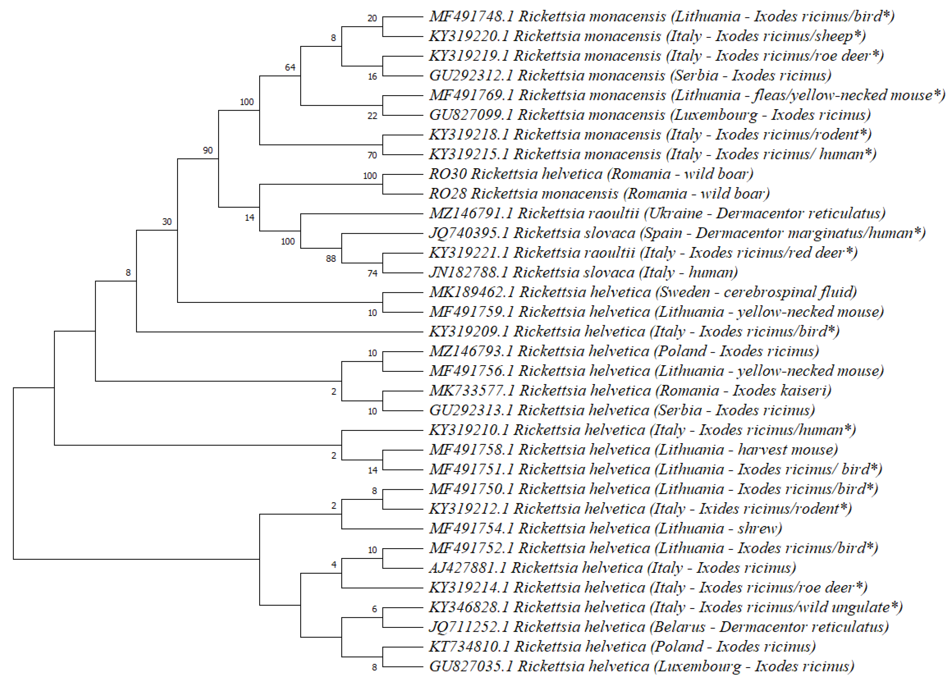 Animals 13 01743 g002