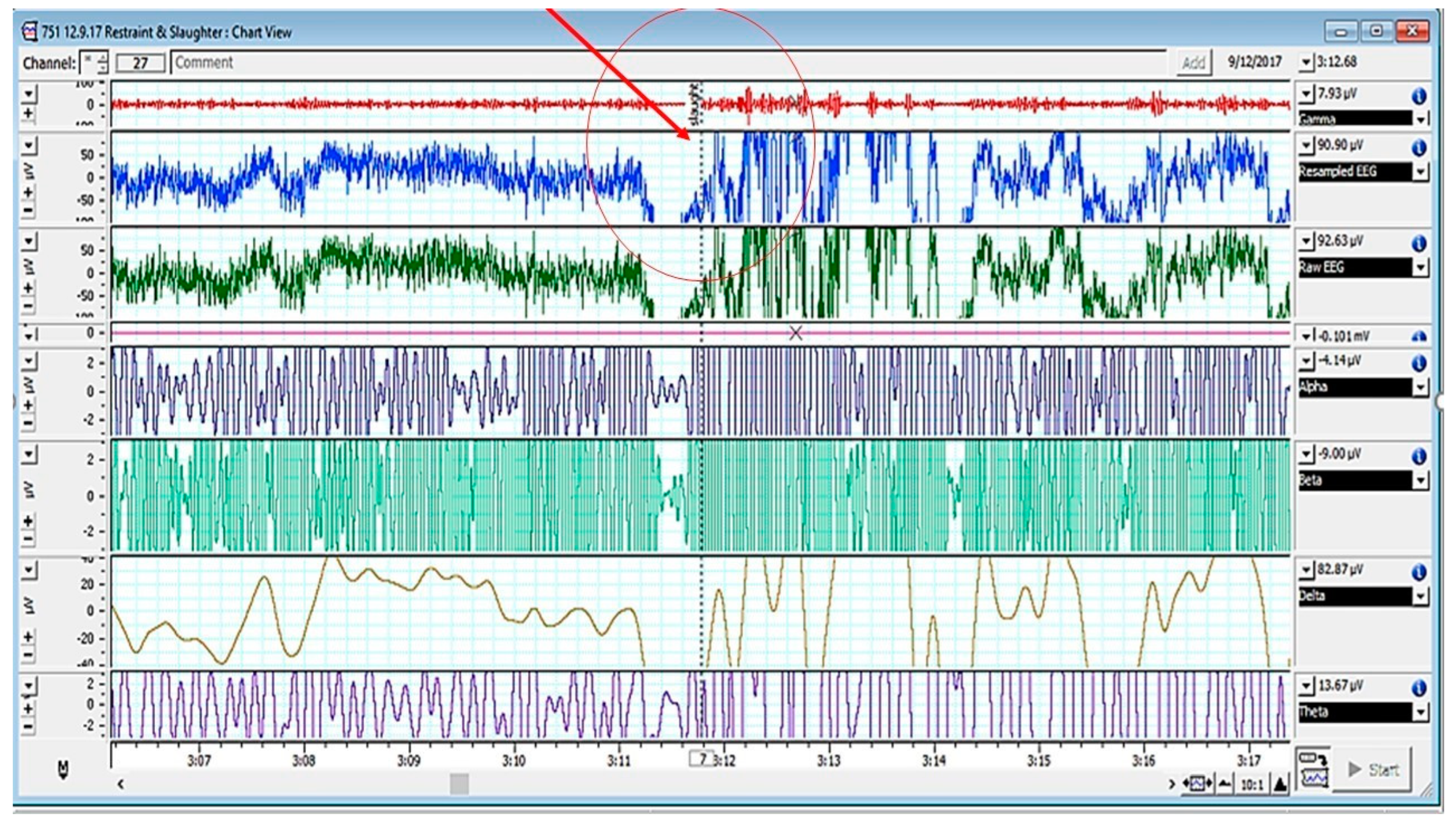 Animals 13 01751 g001 Animals 13 01751 g001