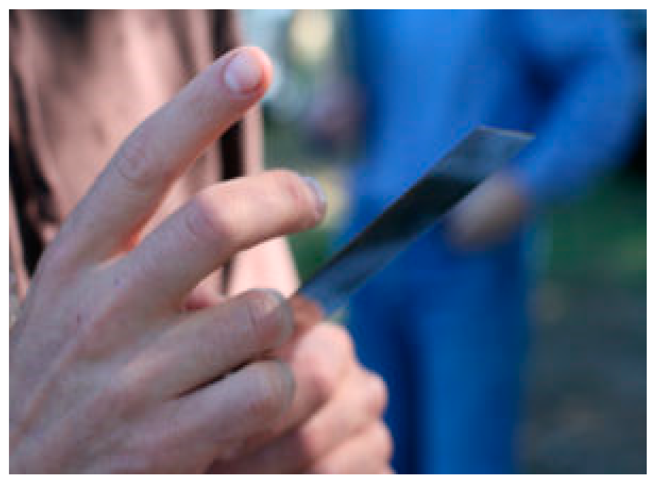 Animals 13 01751 g002 Animals 13 01751 g002