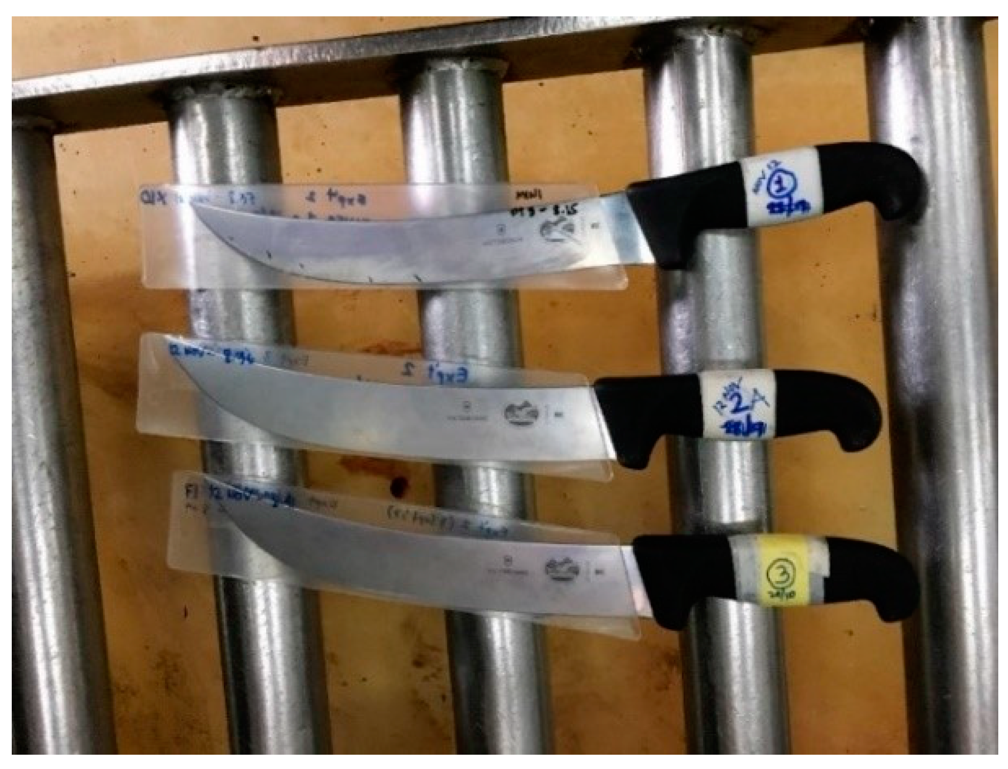 Animals 13 01751 g003 Animals 13 01751 g003