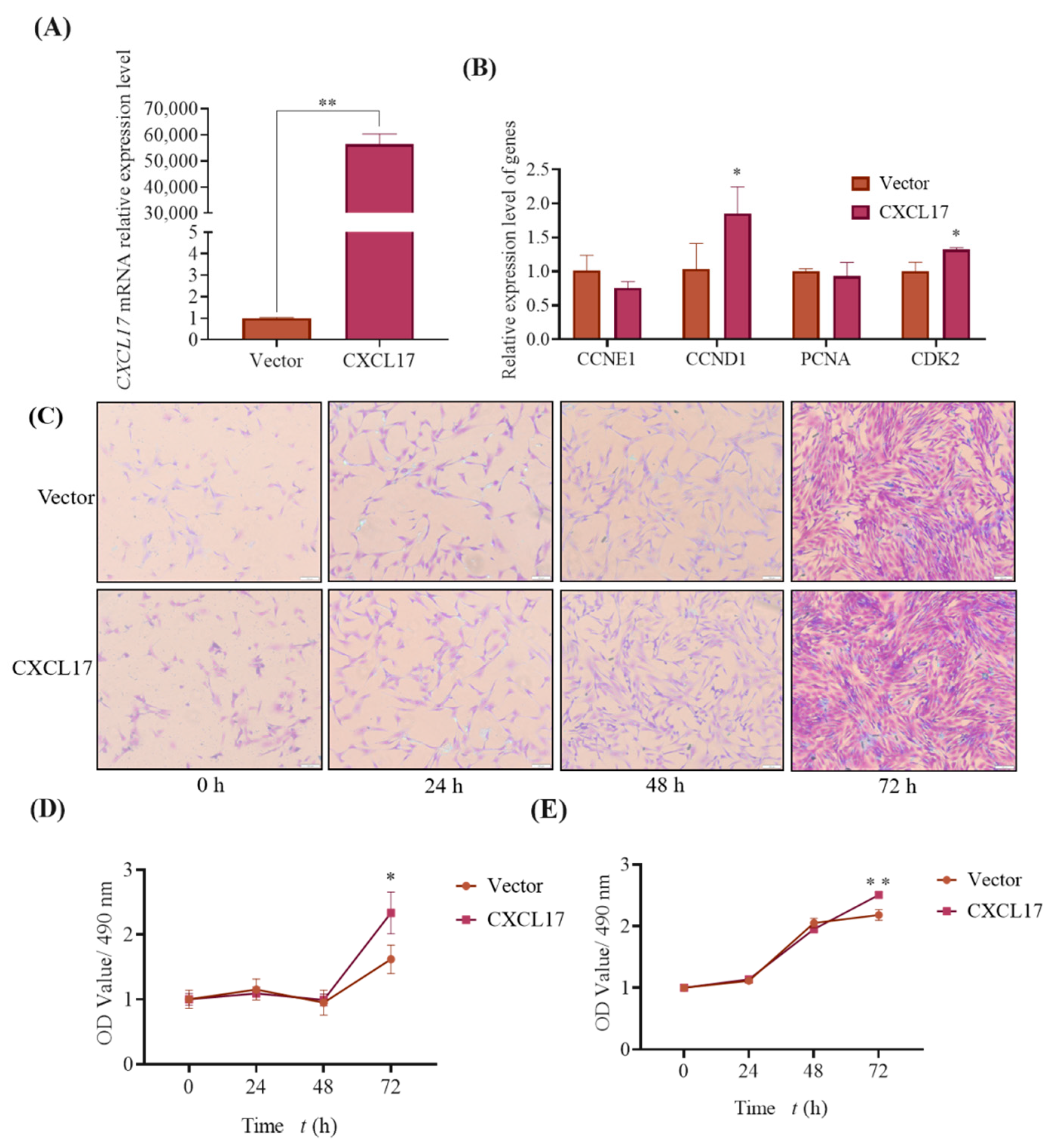 Animals 13 01757 g007