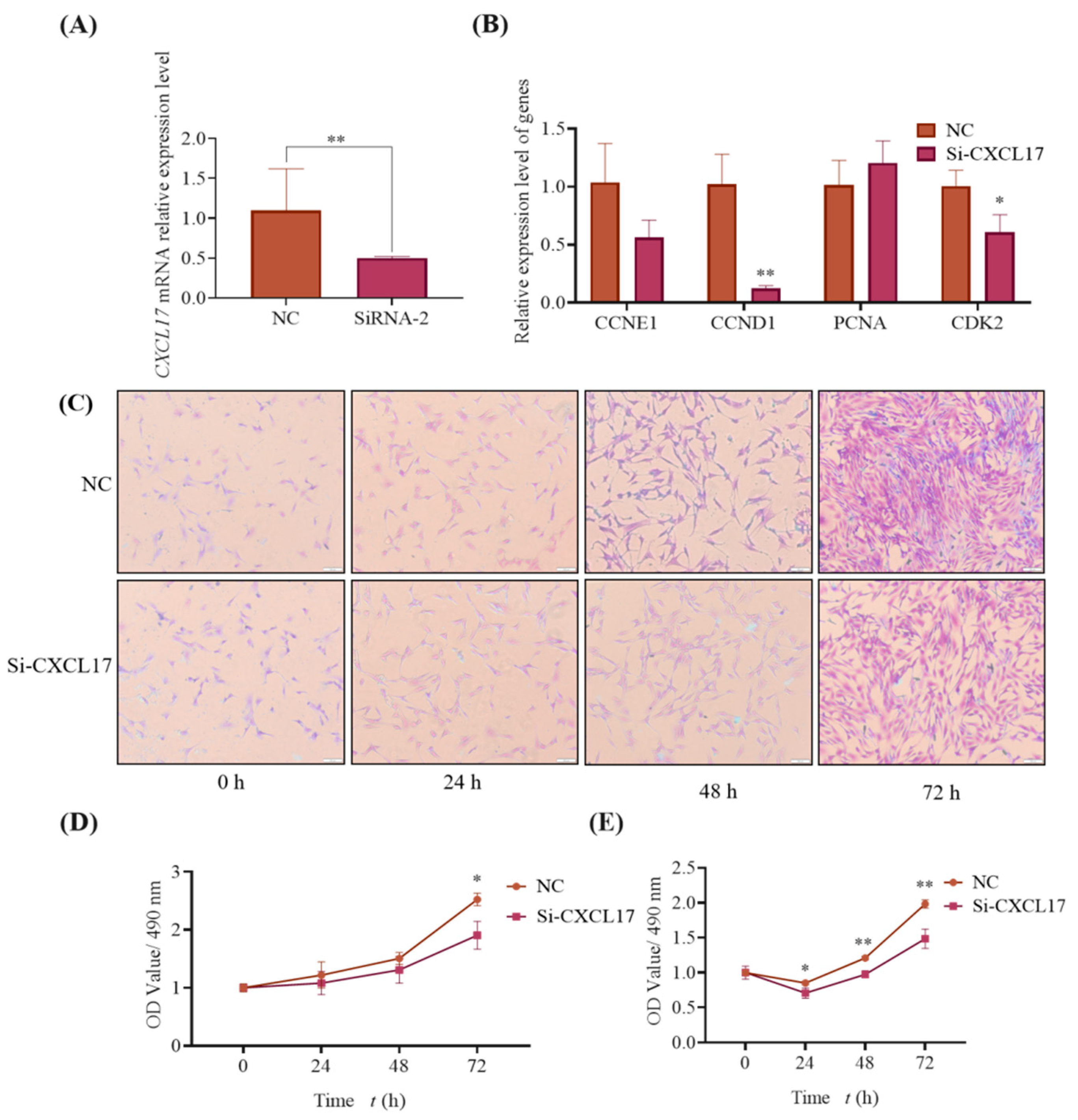 Animals 13 01757 g008