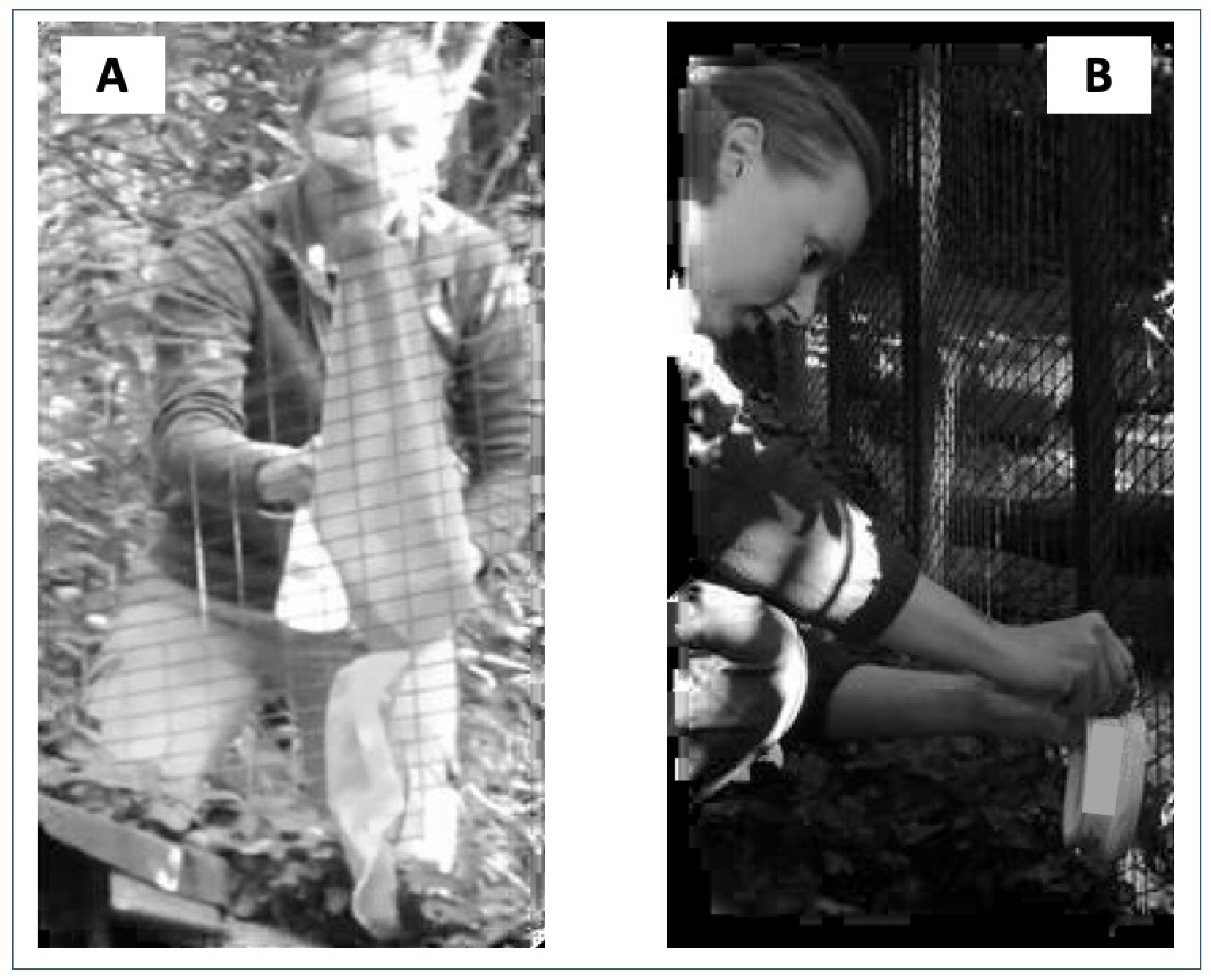 Animals 13 01762 g001