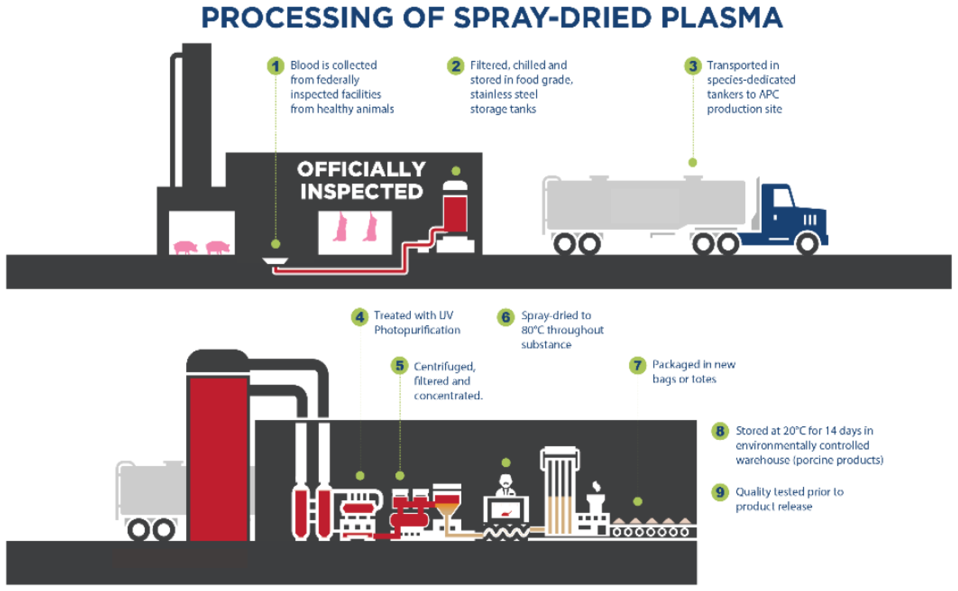 Animals 13 01773 g001 Animals 13 01773 g001