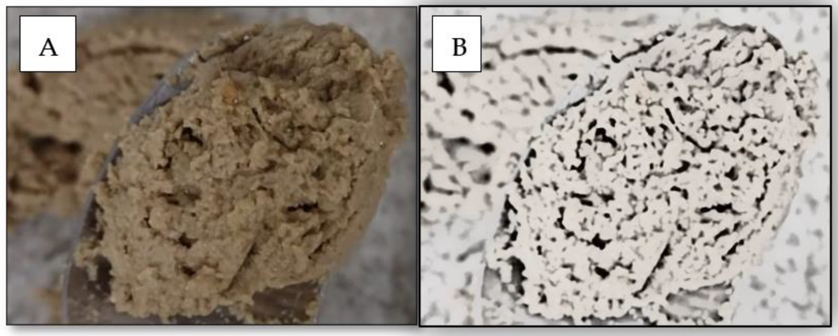 Animals 13 01773 g003 Animals 13 01773 g003