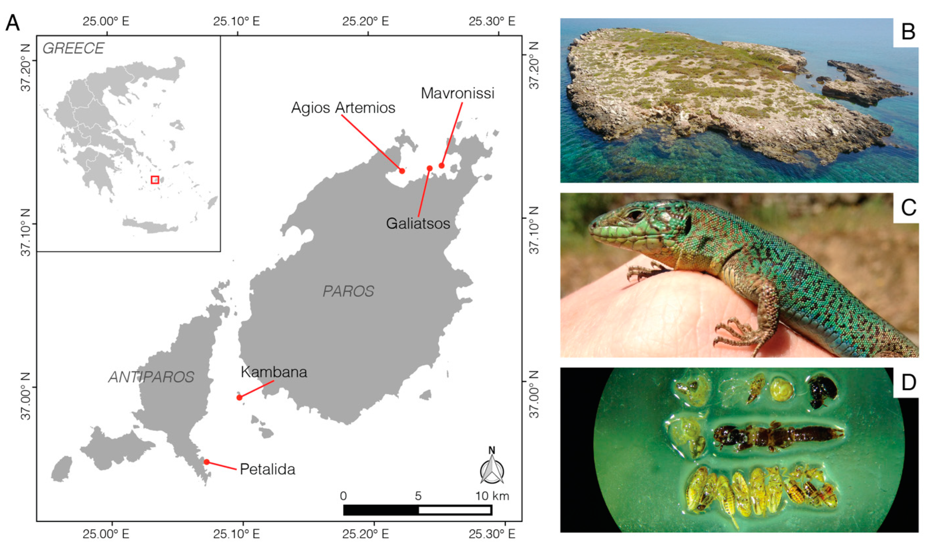 Animals 13 01788 g001 Animals 13 01788 g001