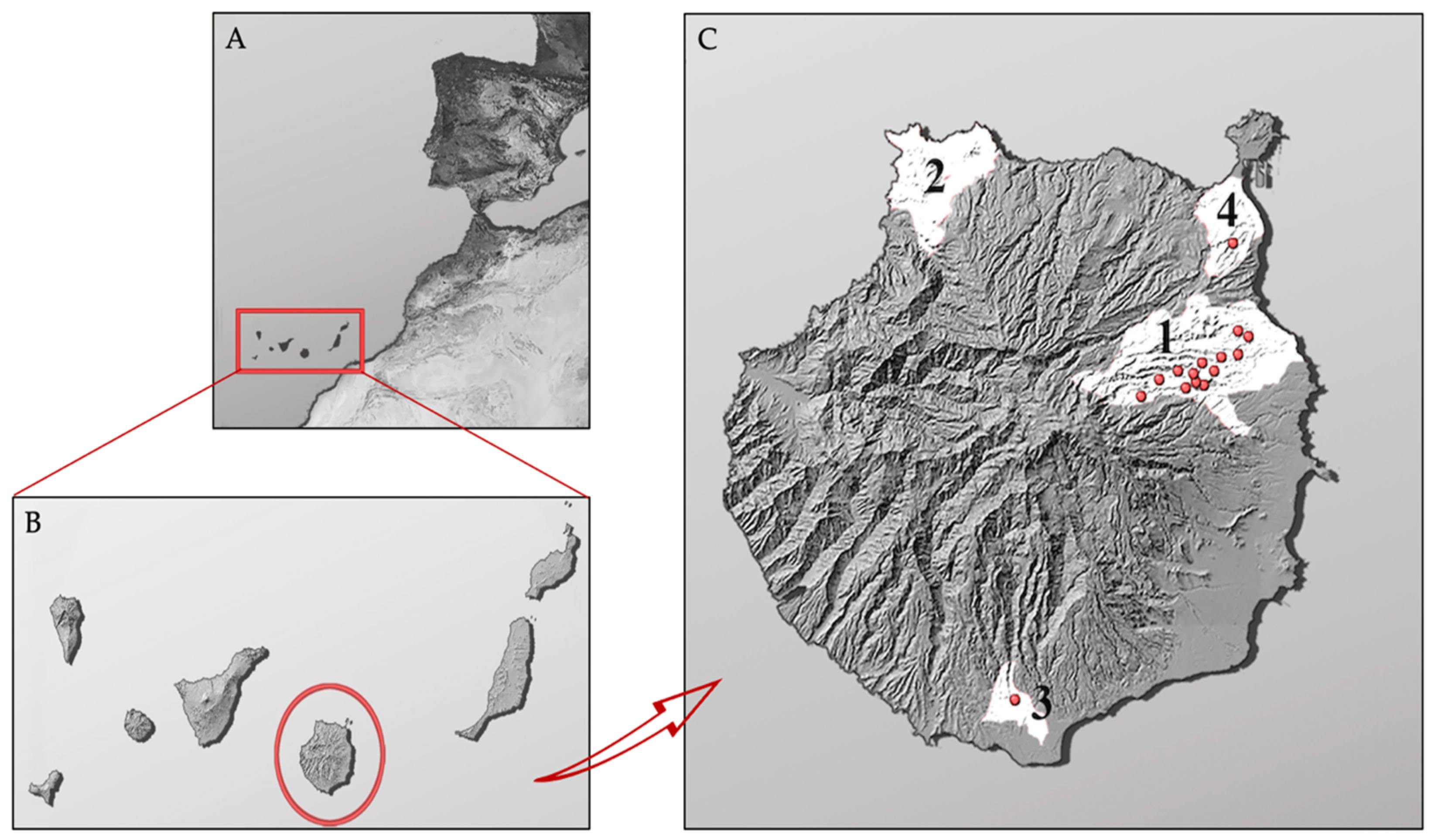 Animals 13 01790 g001