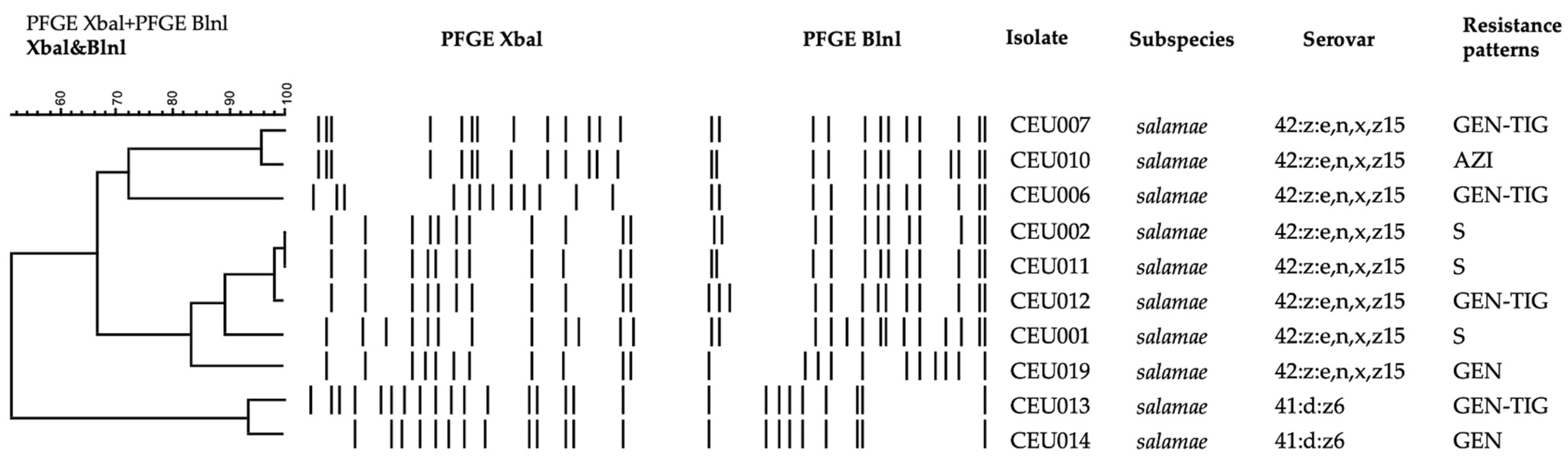 Animals 13 01790 g002