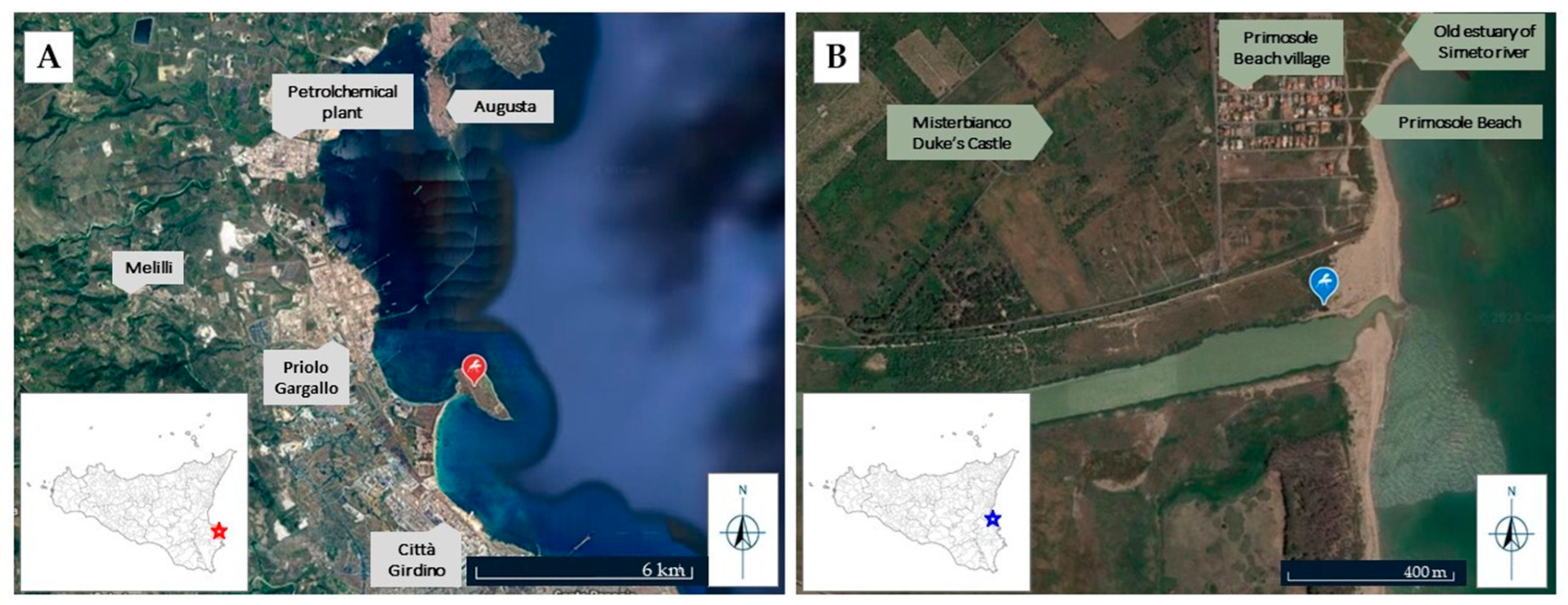 Animals 13 01793 g001