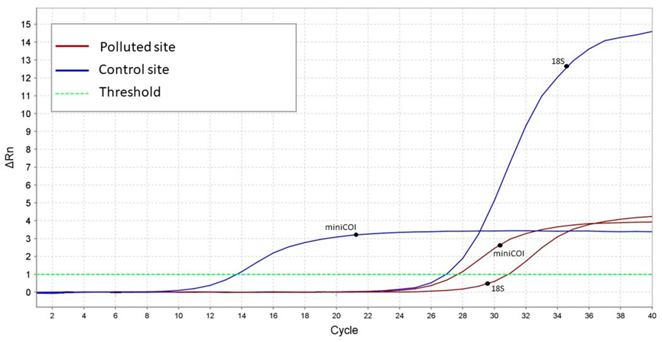 Animals 13 01793 g002