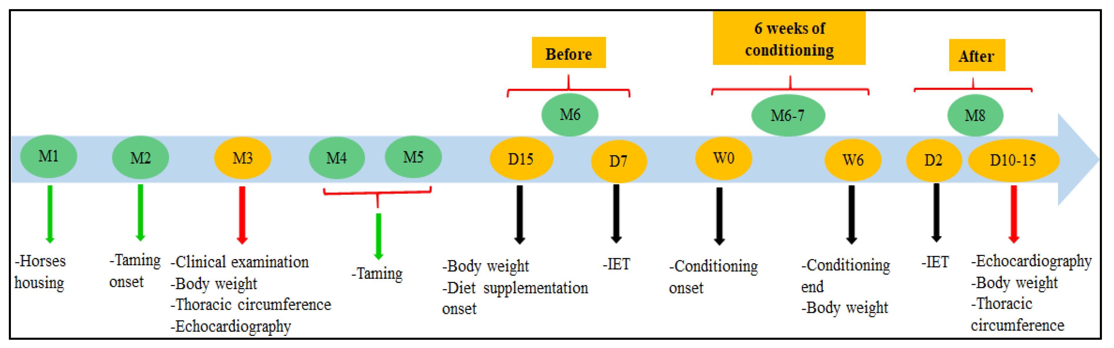 Animals 13 01800 g001