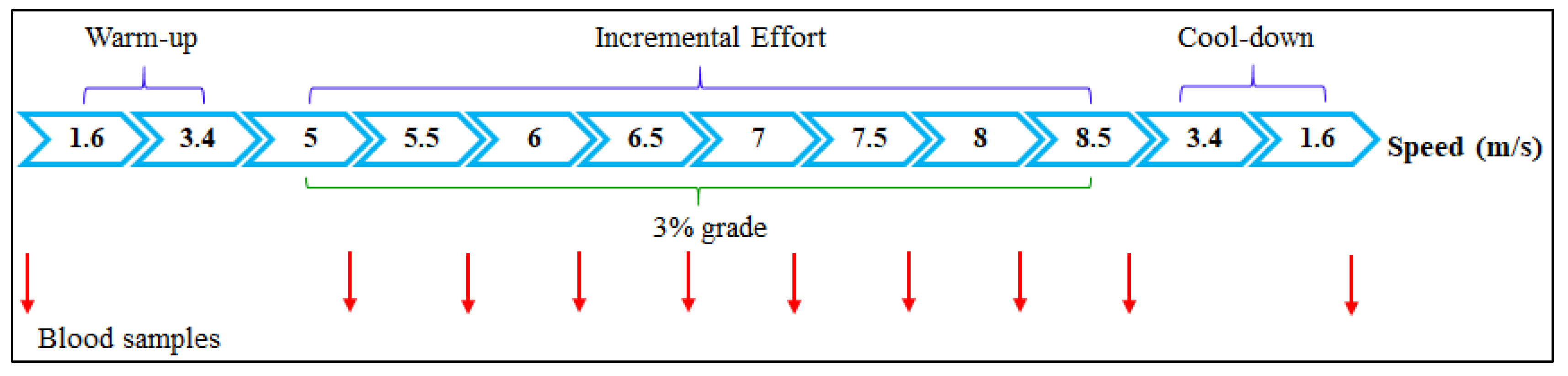Animals 13 01800 g002