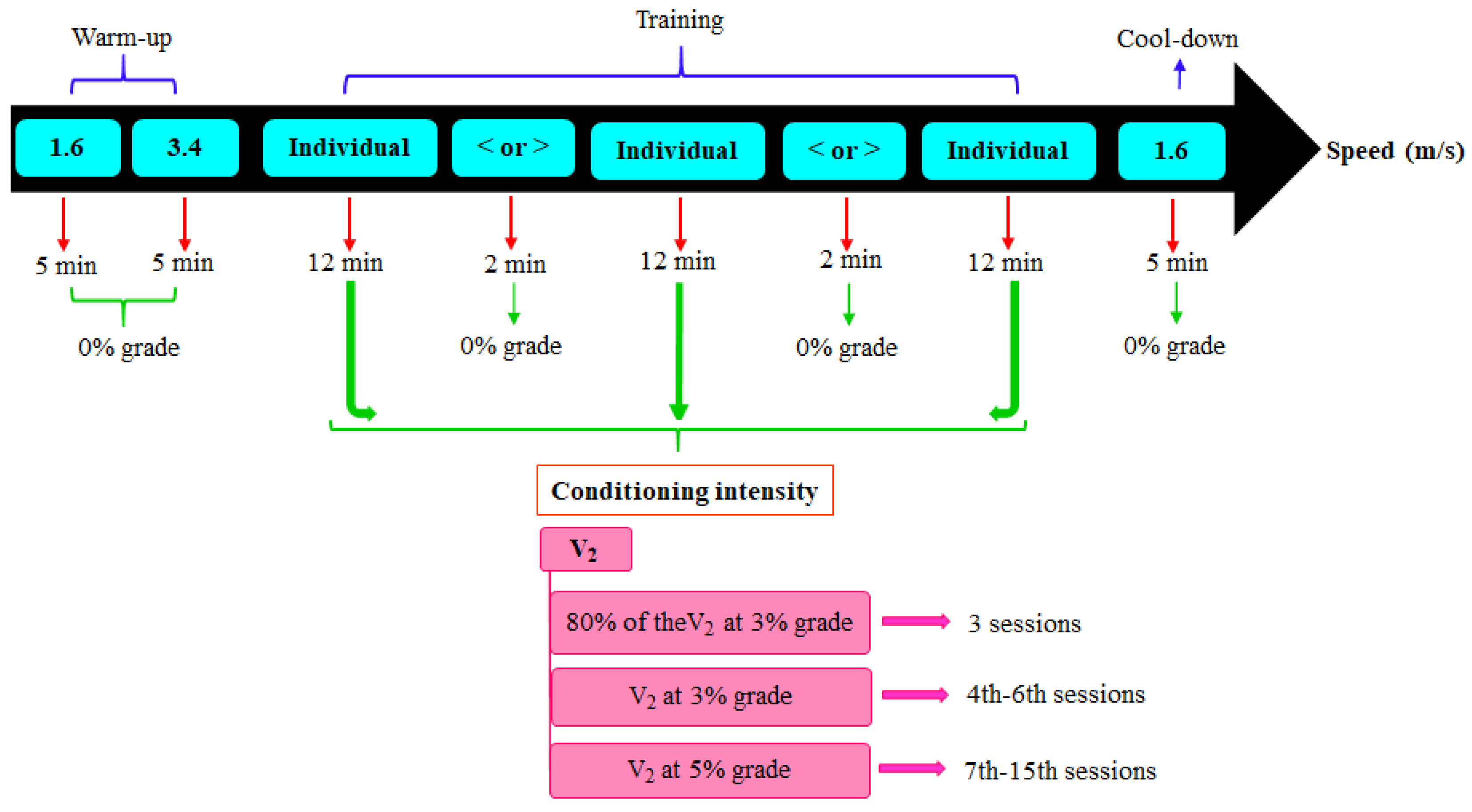 Animals 13 01800 g003