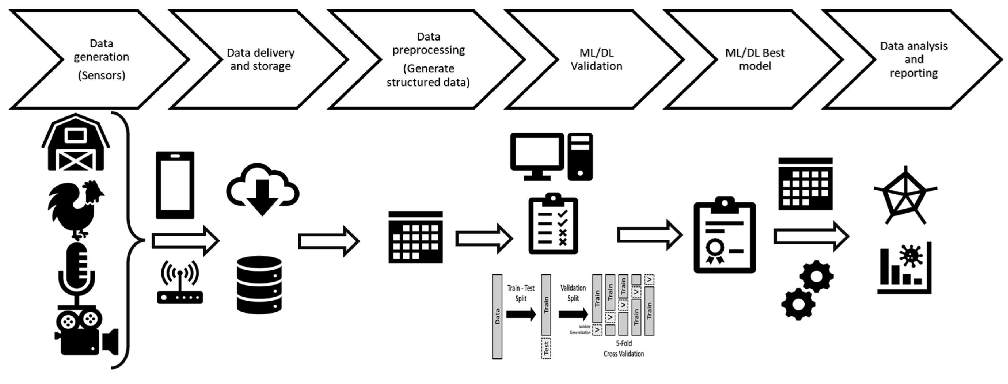 Animals 13 01804 g001 Animals 13 01804 g001