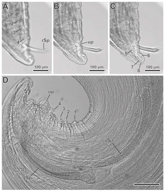 Animals 13 01806 g003