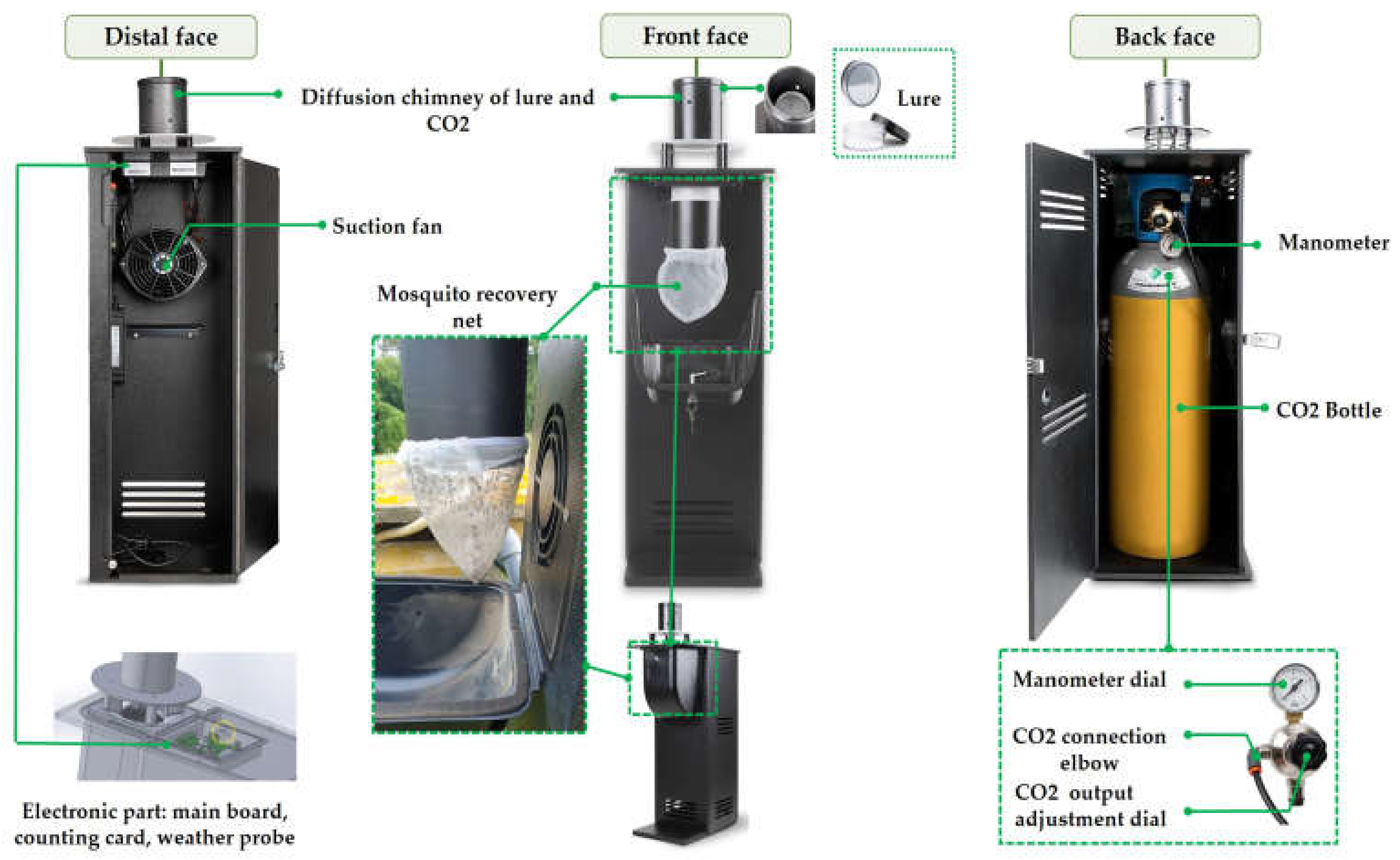 Animals 13 01809 g002