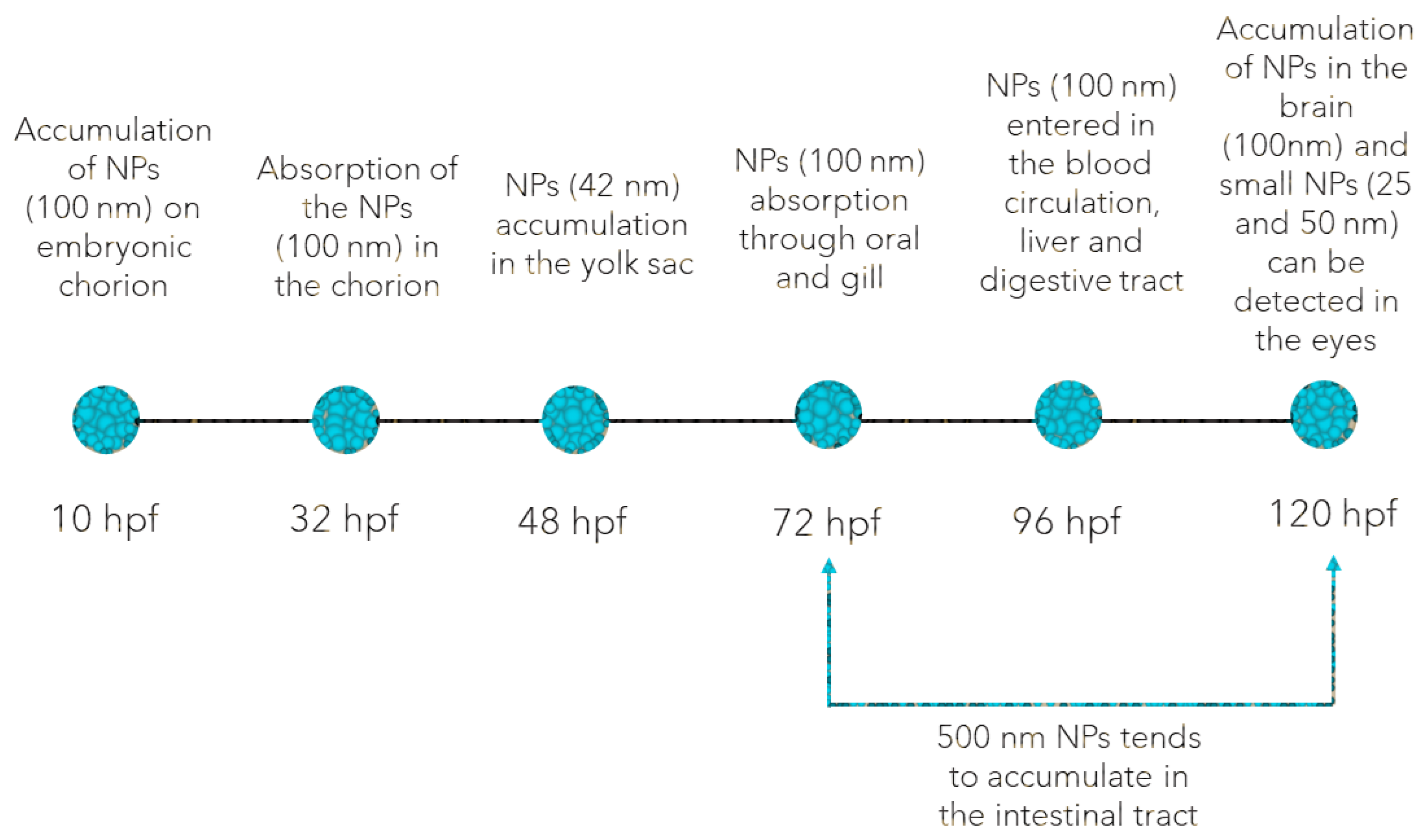 Animals 13 01810 g001