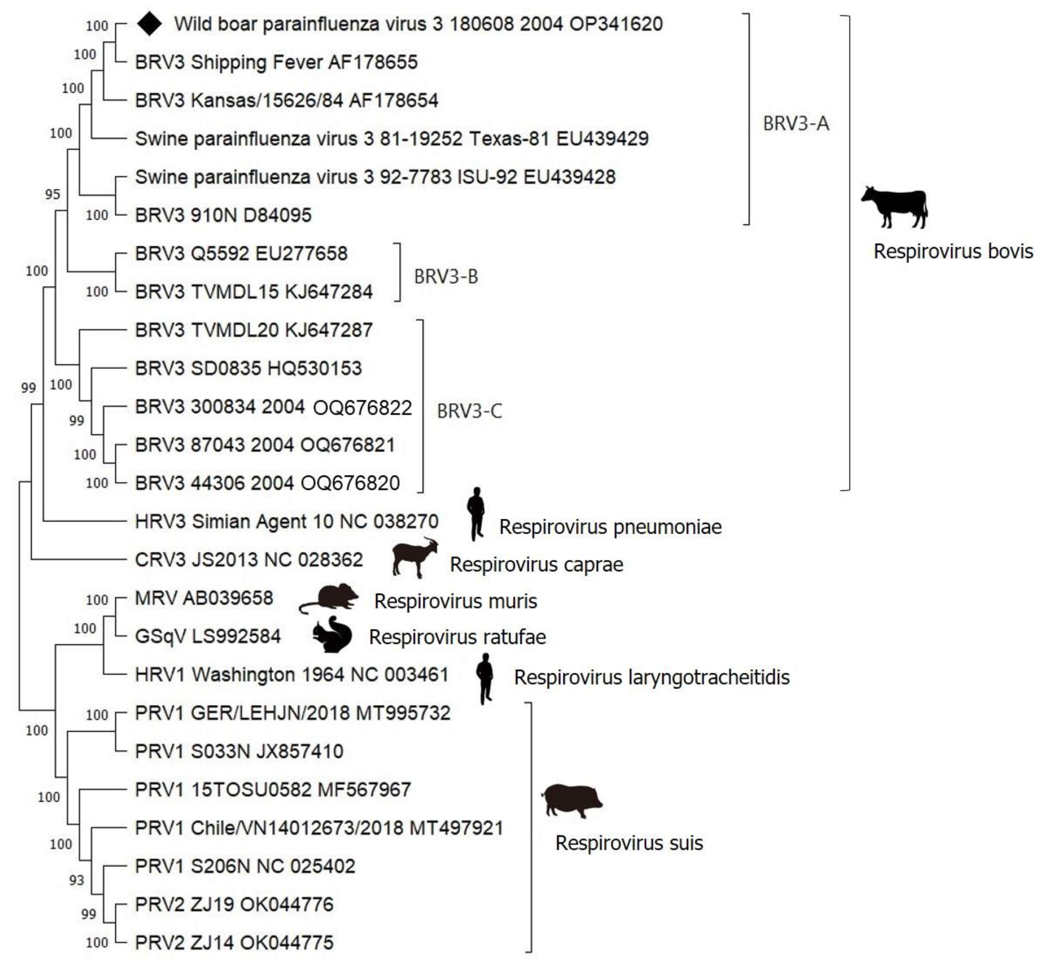Animals 13 01815 g003