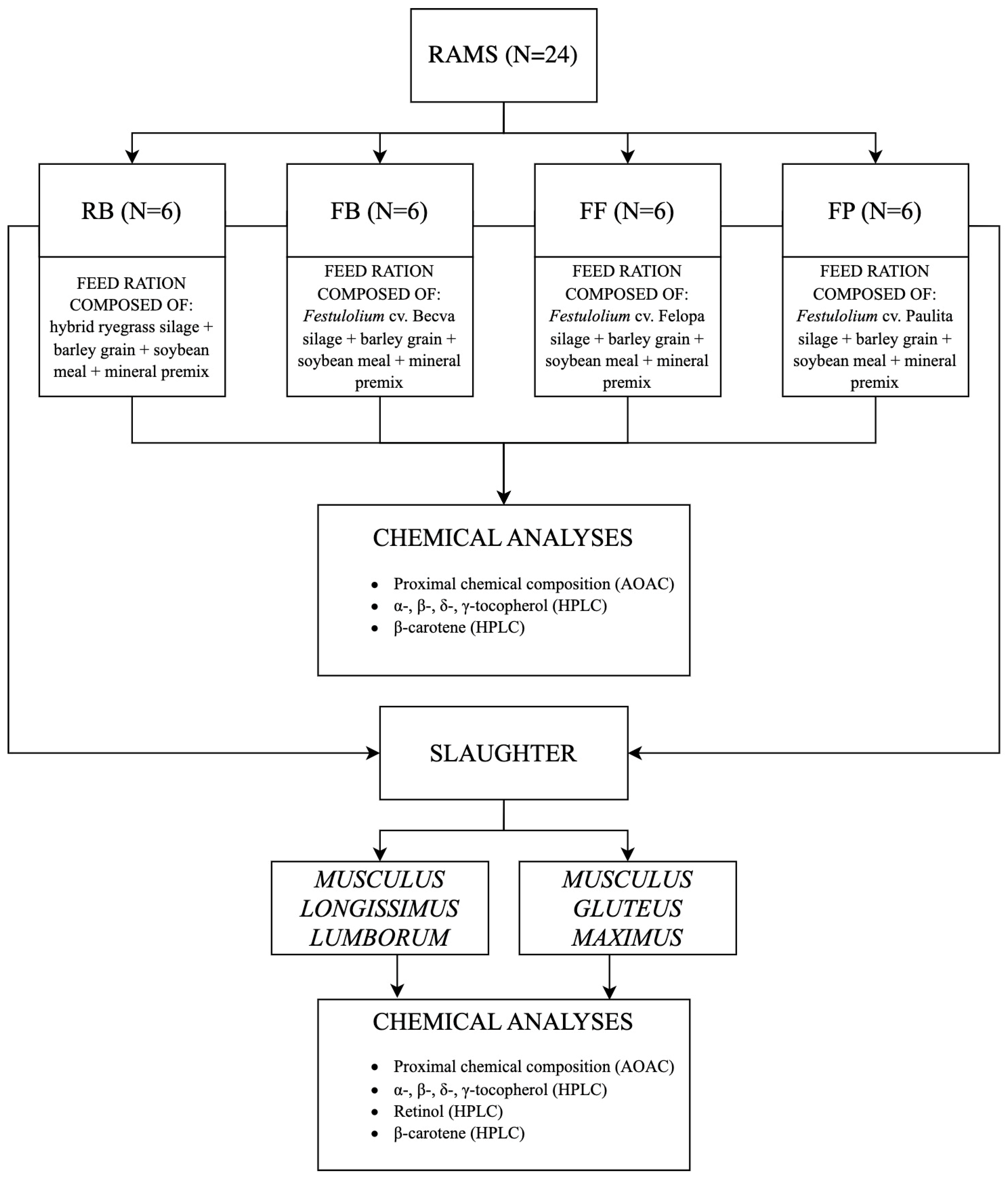 Animals 13 01817 g001