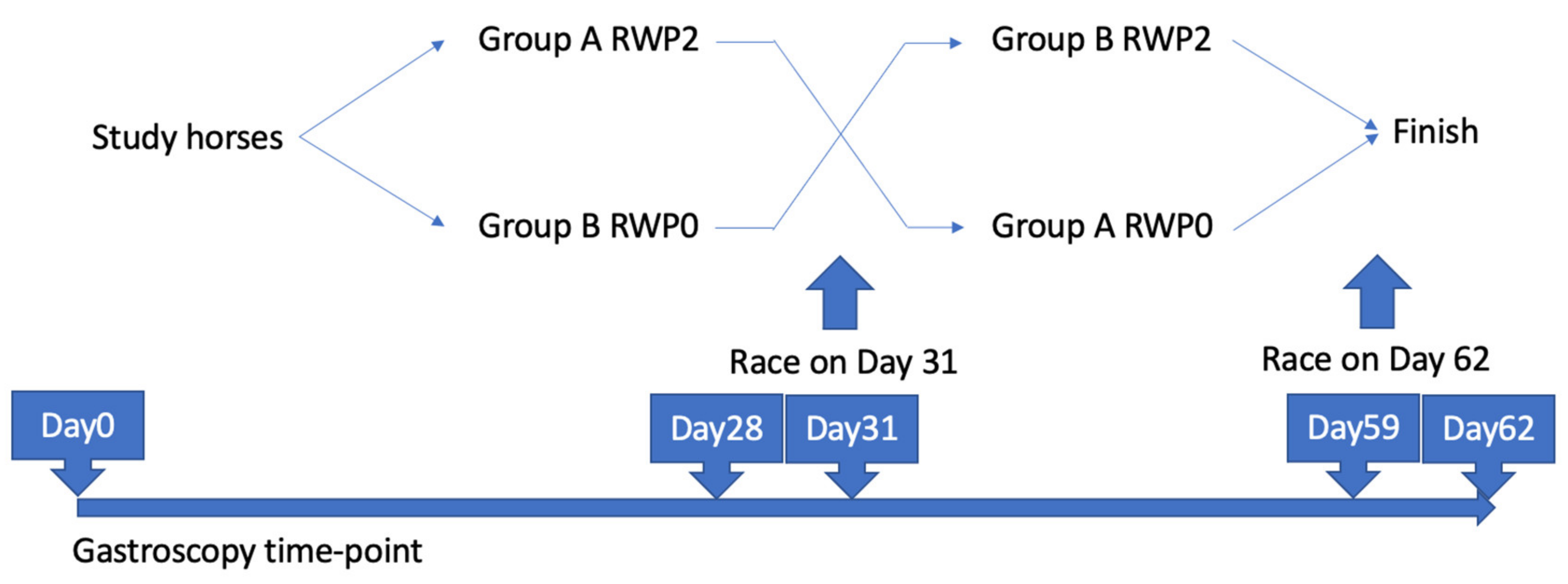 Animals 13 01823 g001