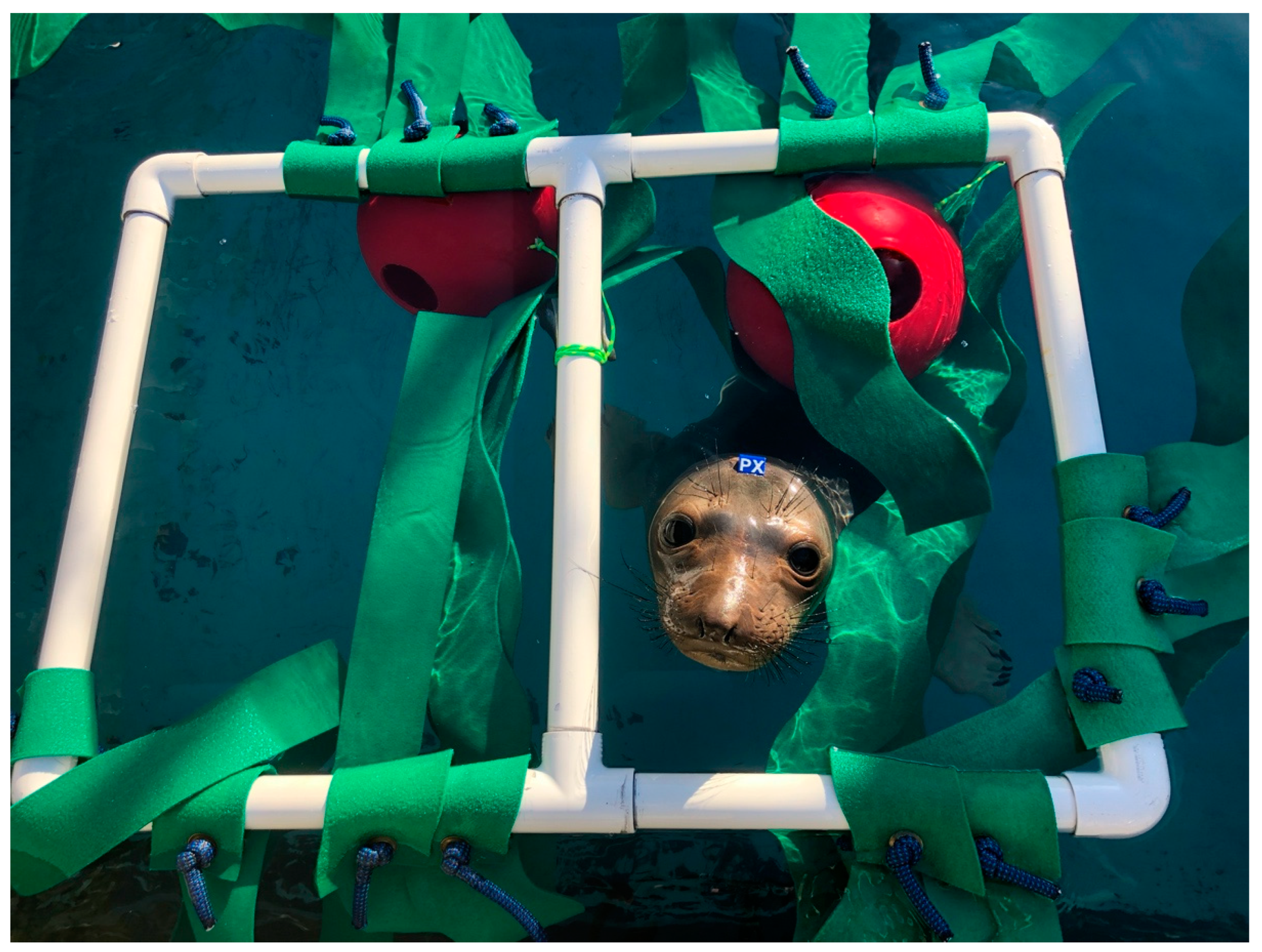 Animals 13 01836 g005 Animals 13 01836 g005