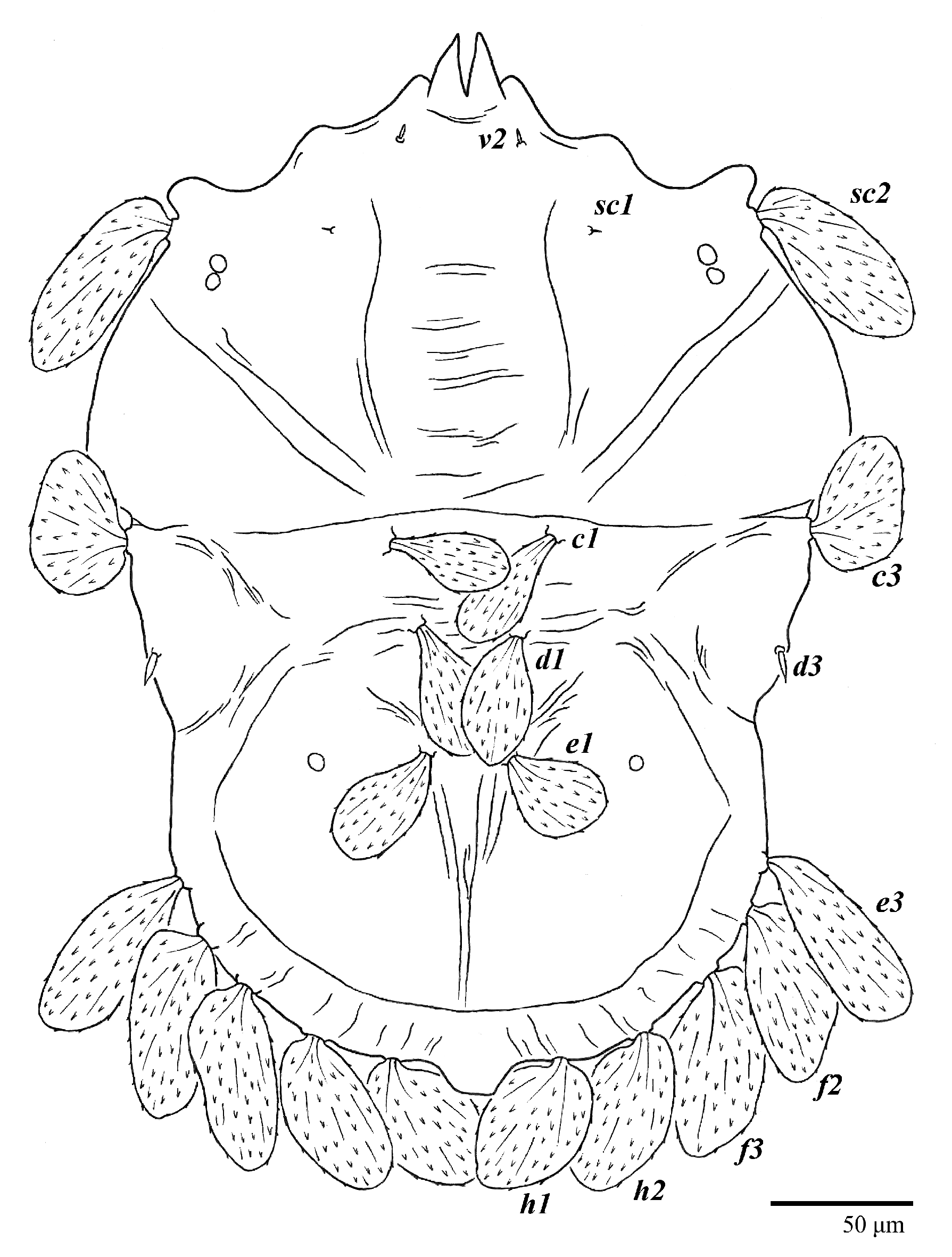 Animals 13 01838 g001 Animals 13 01838 g001
