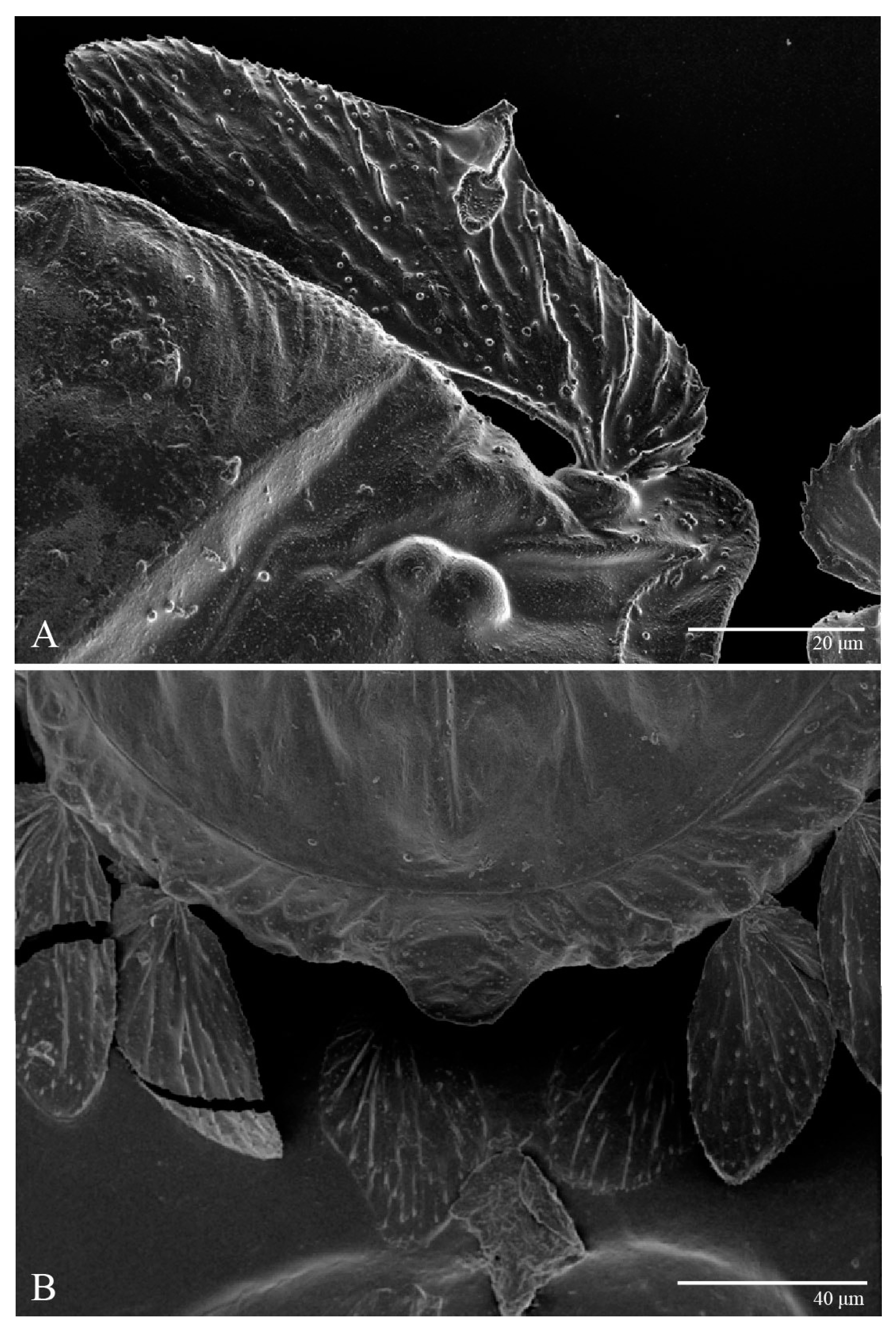 Animals 13 01838 g003 Animals 13 01838 g003