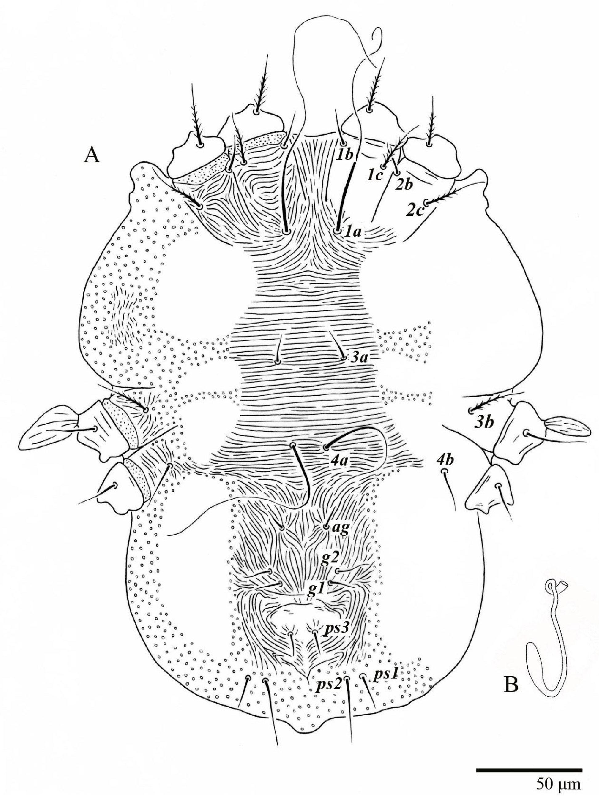 Animals 13 01838 g005 Animals 13 01838 g005