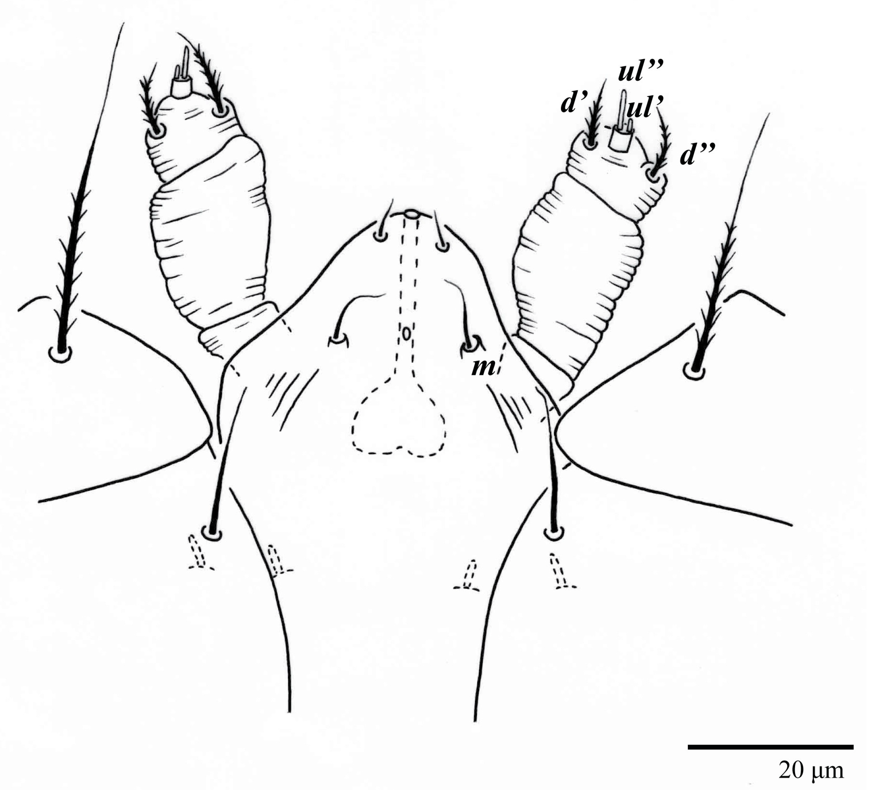 Animals 13 01838 g007 Animals 13 01838 g007