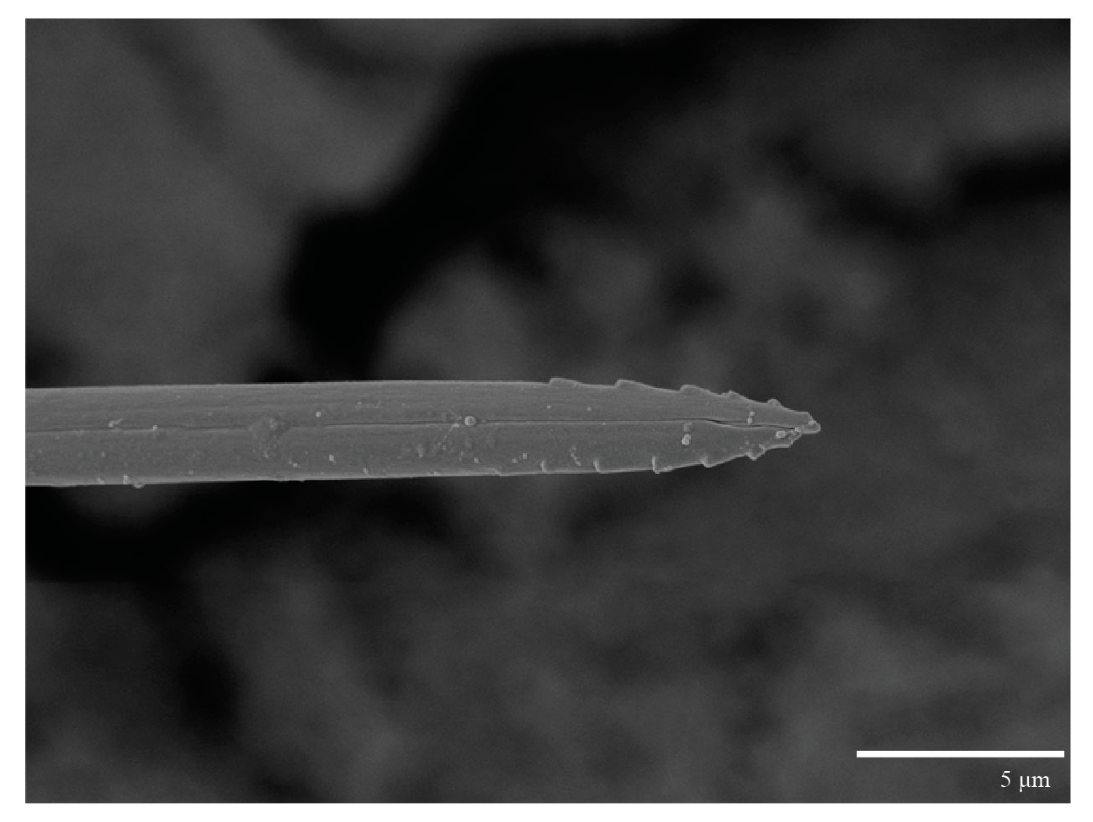 Animals 13 01838 g009 Animals 13 01838 g009