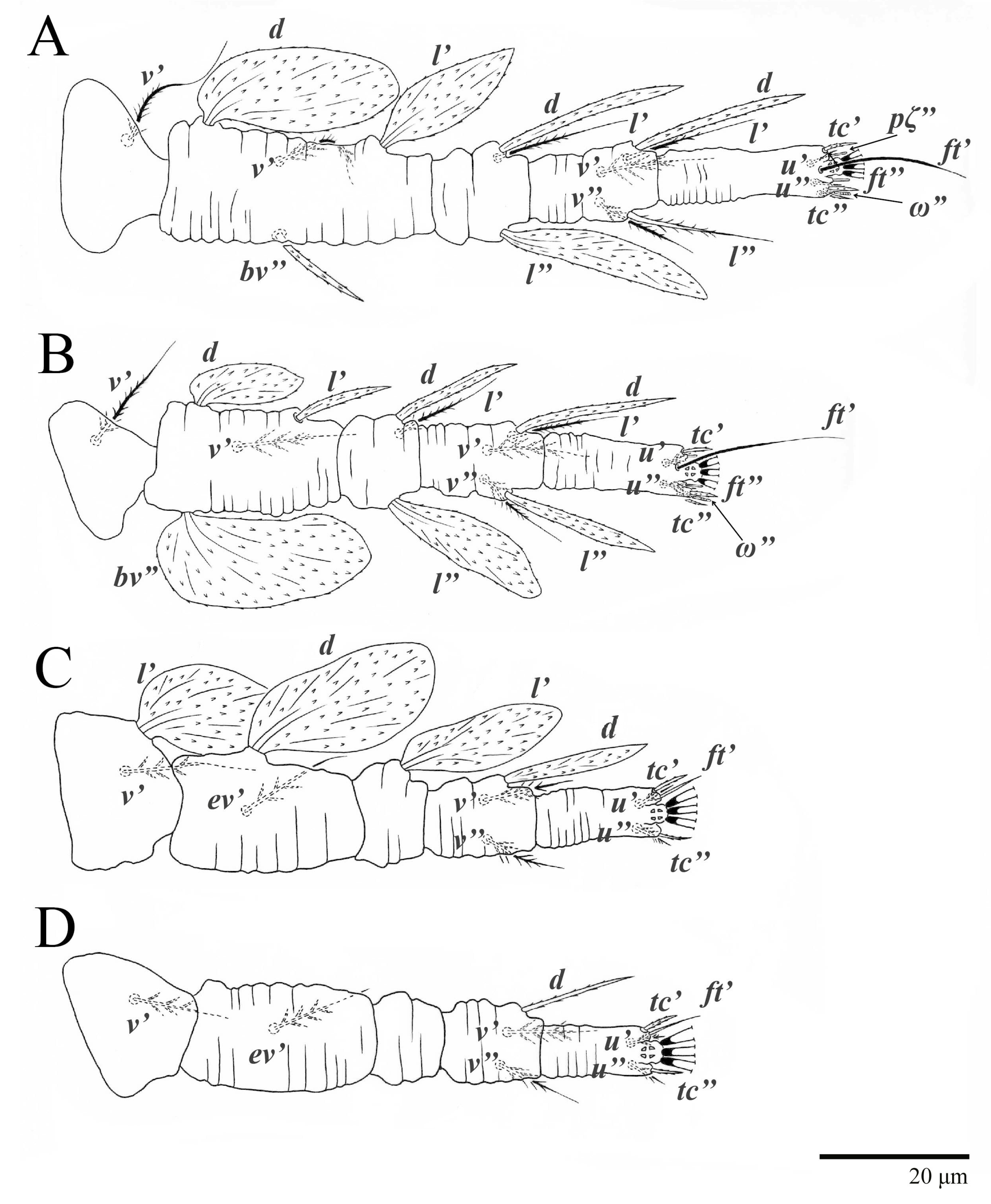 Animals 13 01838 g010 Animals 13 01838 g010