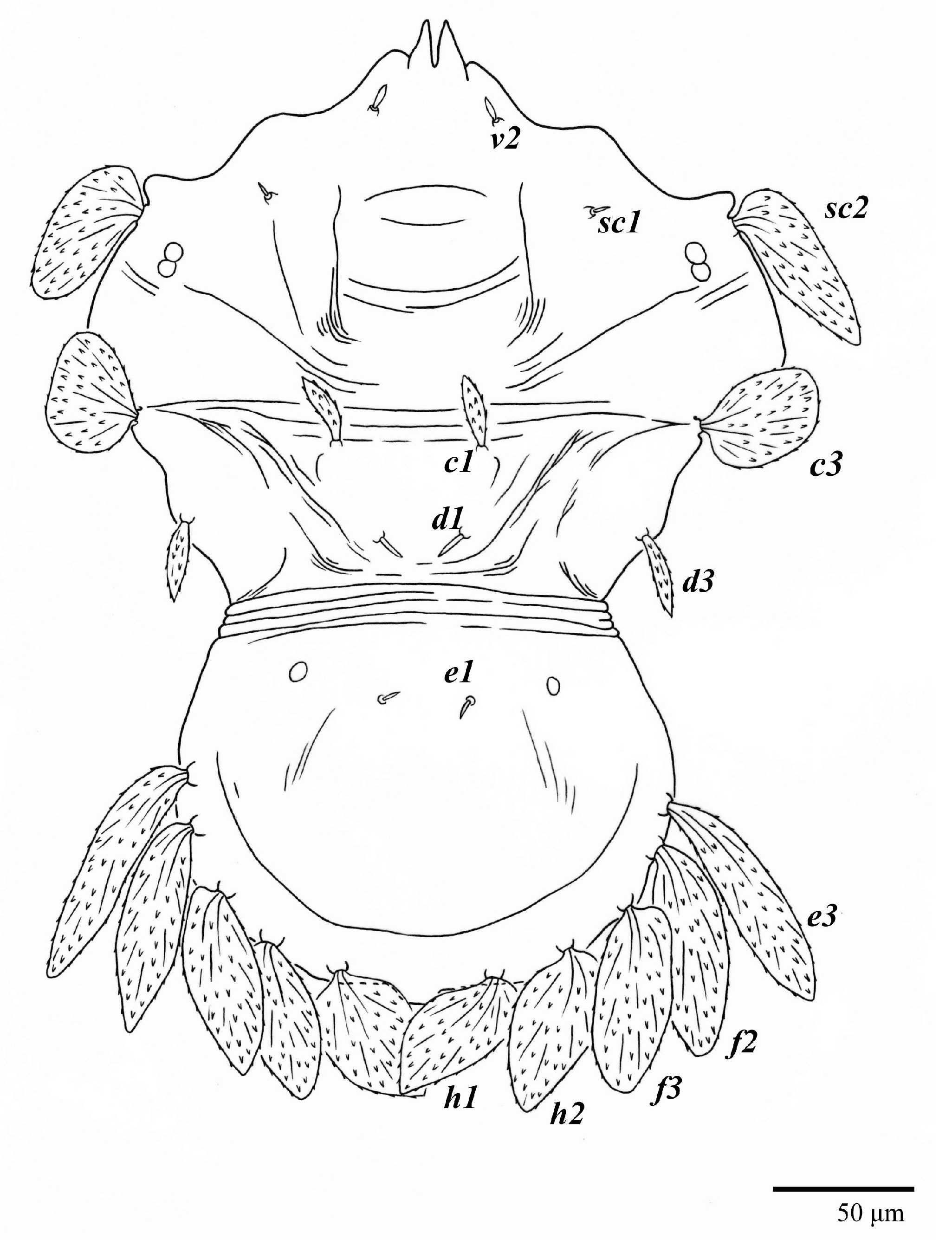 Animals 13 01838 g011 Animals 13 01838 g011