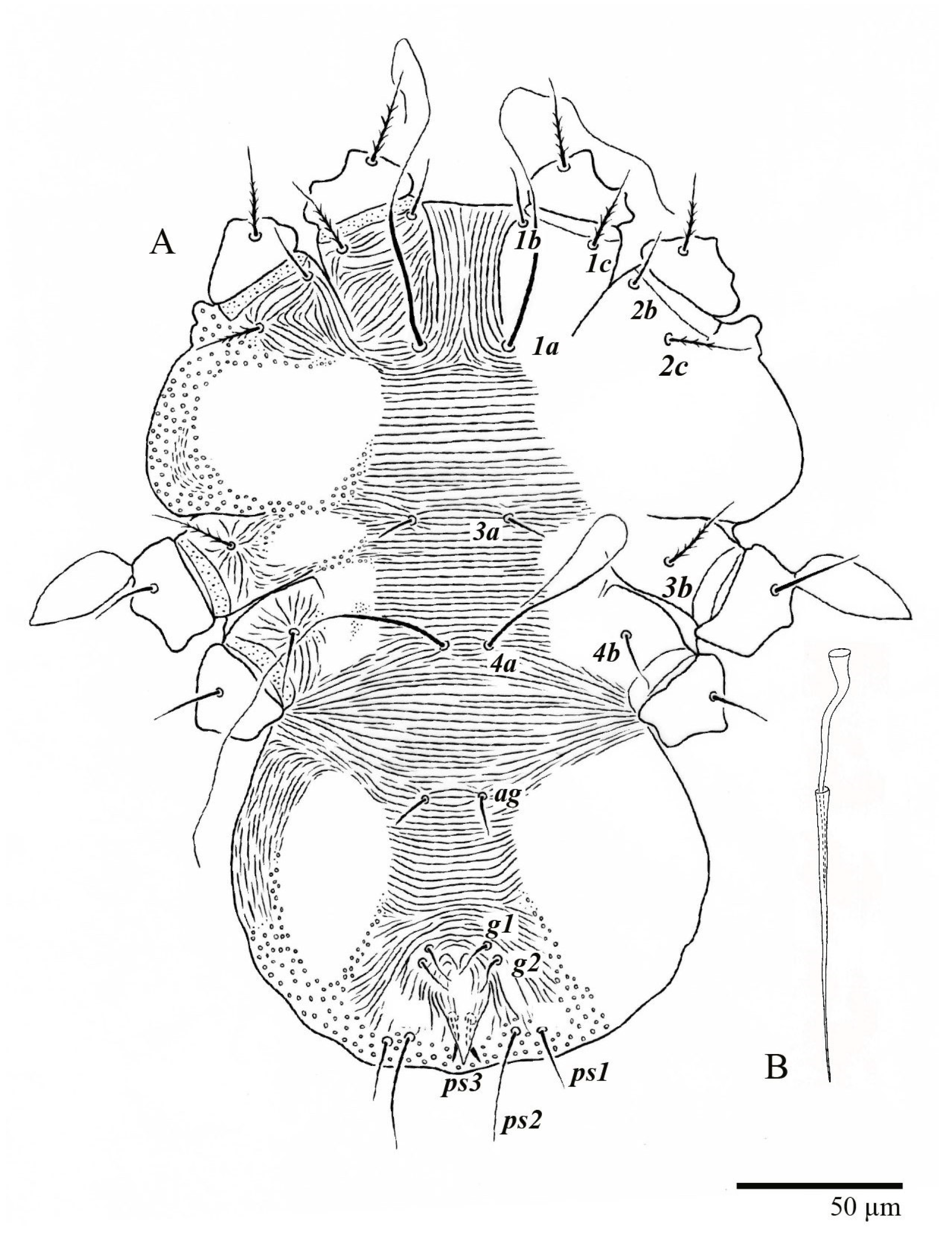 Animals 13 01838 g013 Animals 13 01838 g013