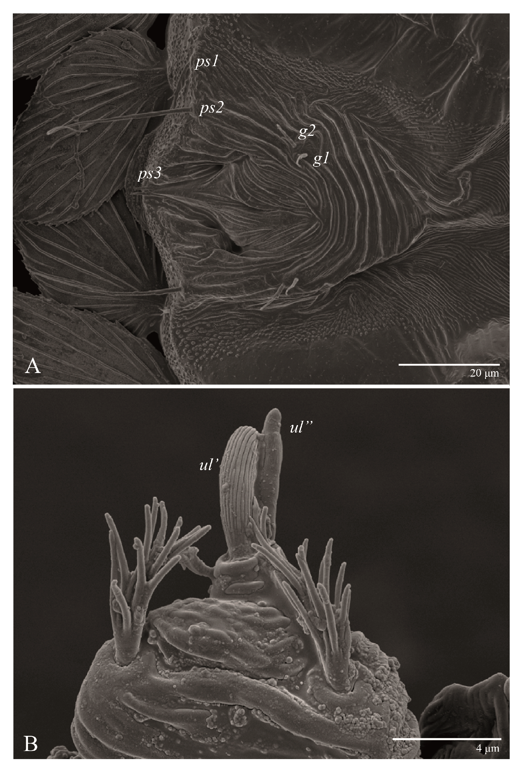 Animals 13 01838 g014 Animals 13 01838 g014