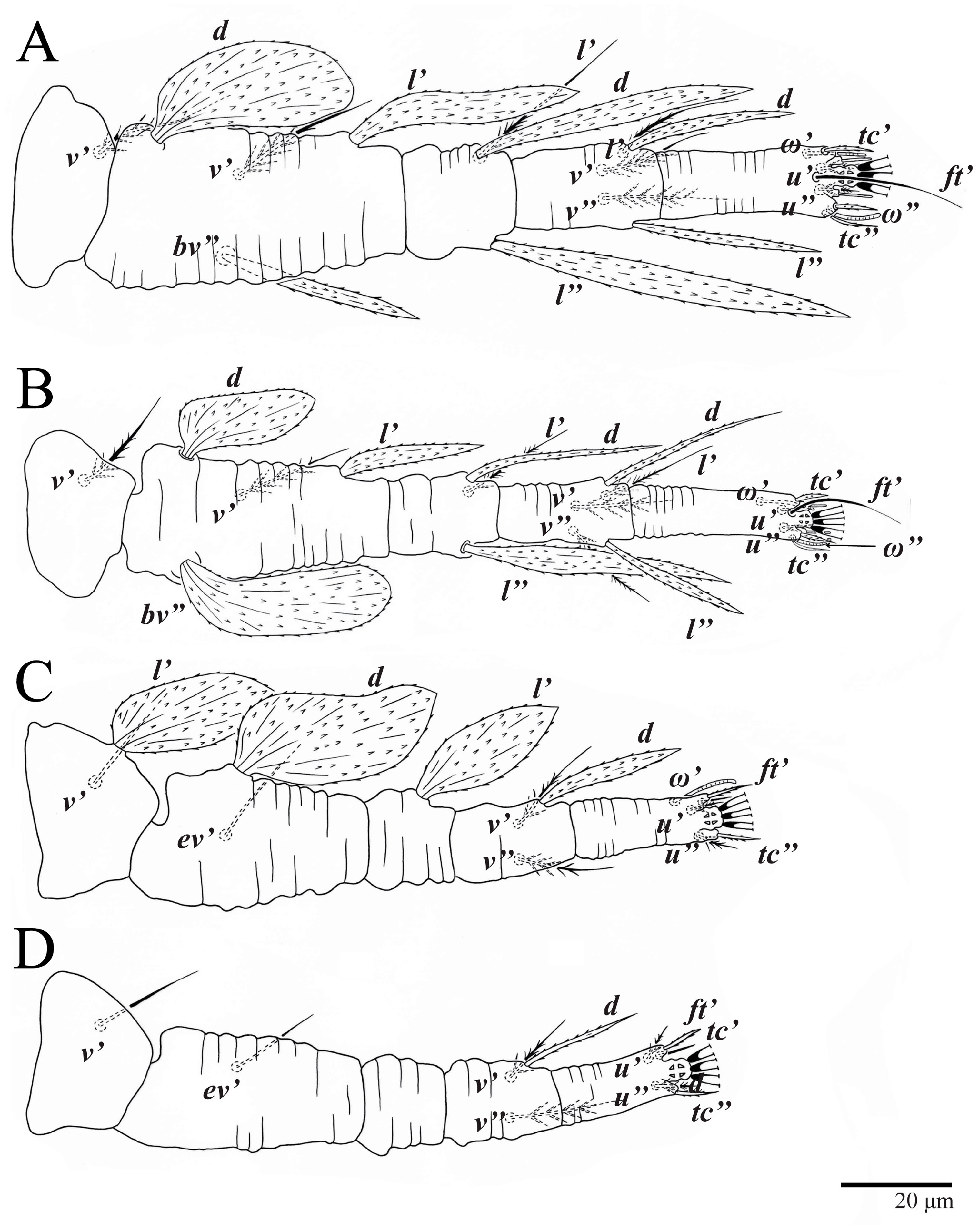 Animals 13 01838 g015 Animals 13 01838 g015
