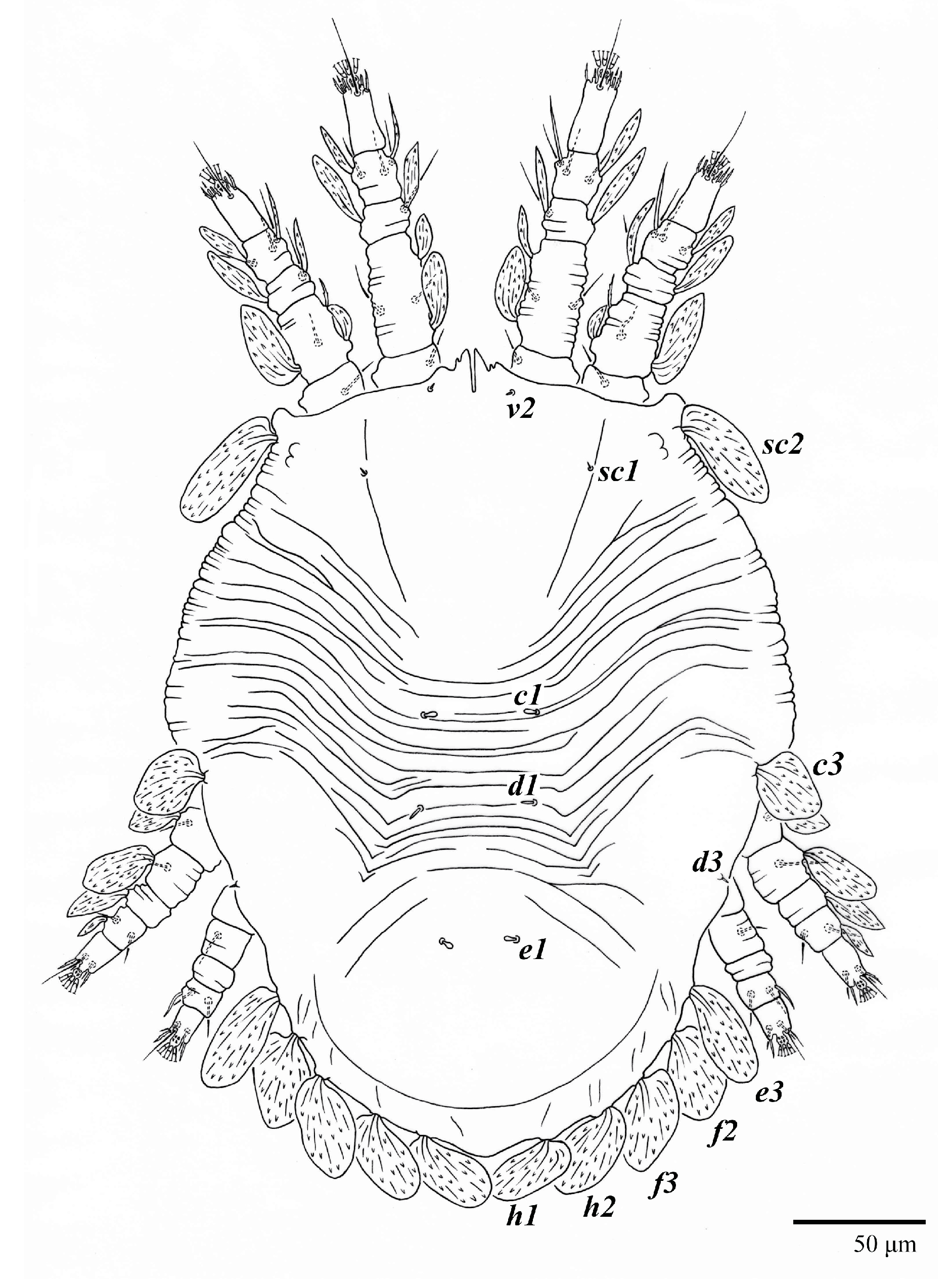 Animals 13 01838 g016 Animals 13 01838 g016