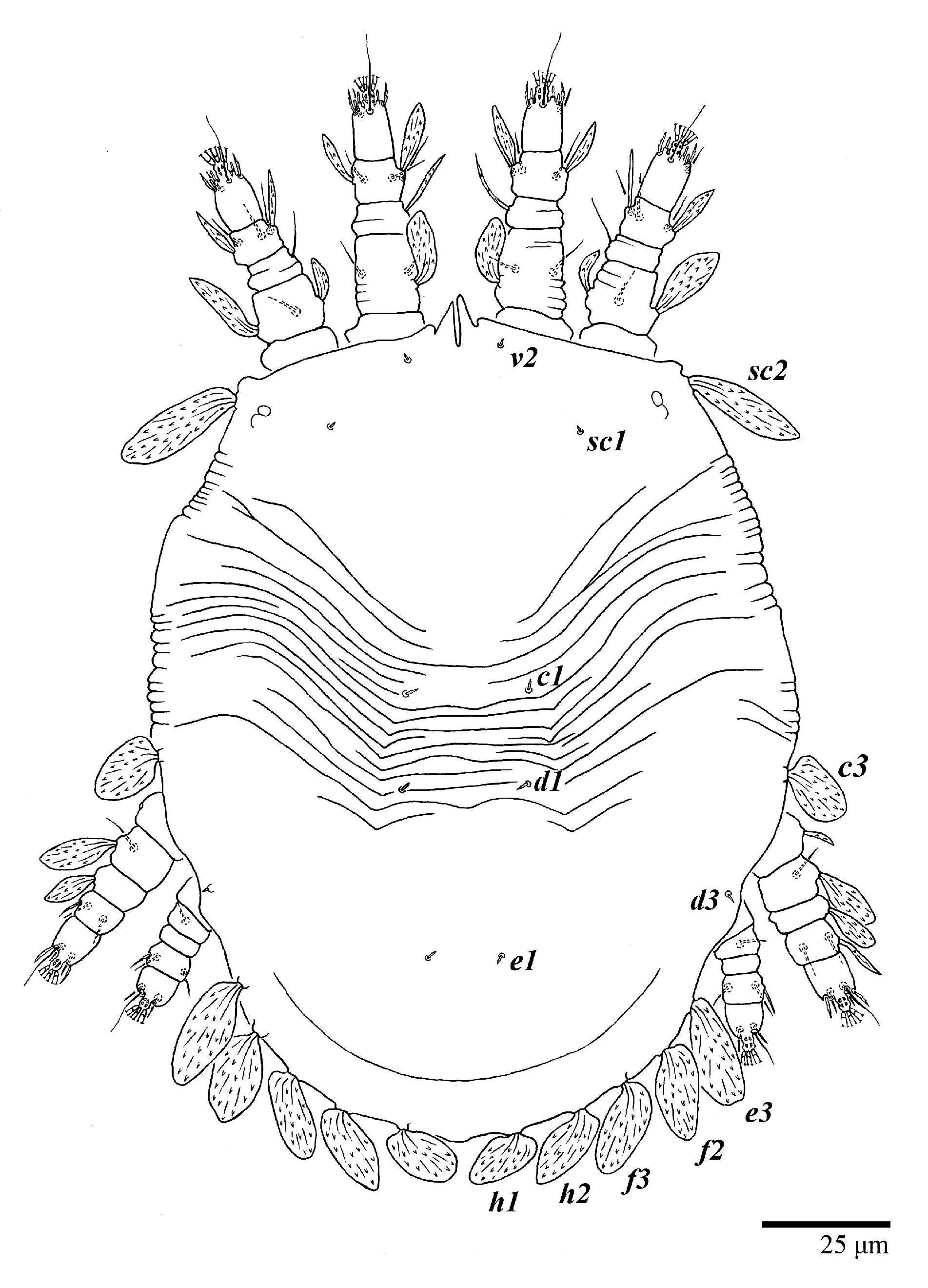 Animals 13 01838 g017 Animals 13 01838 g017