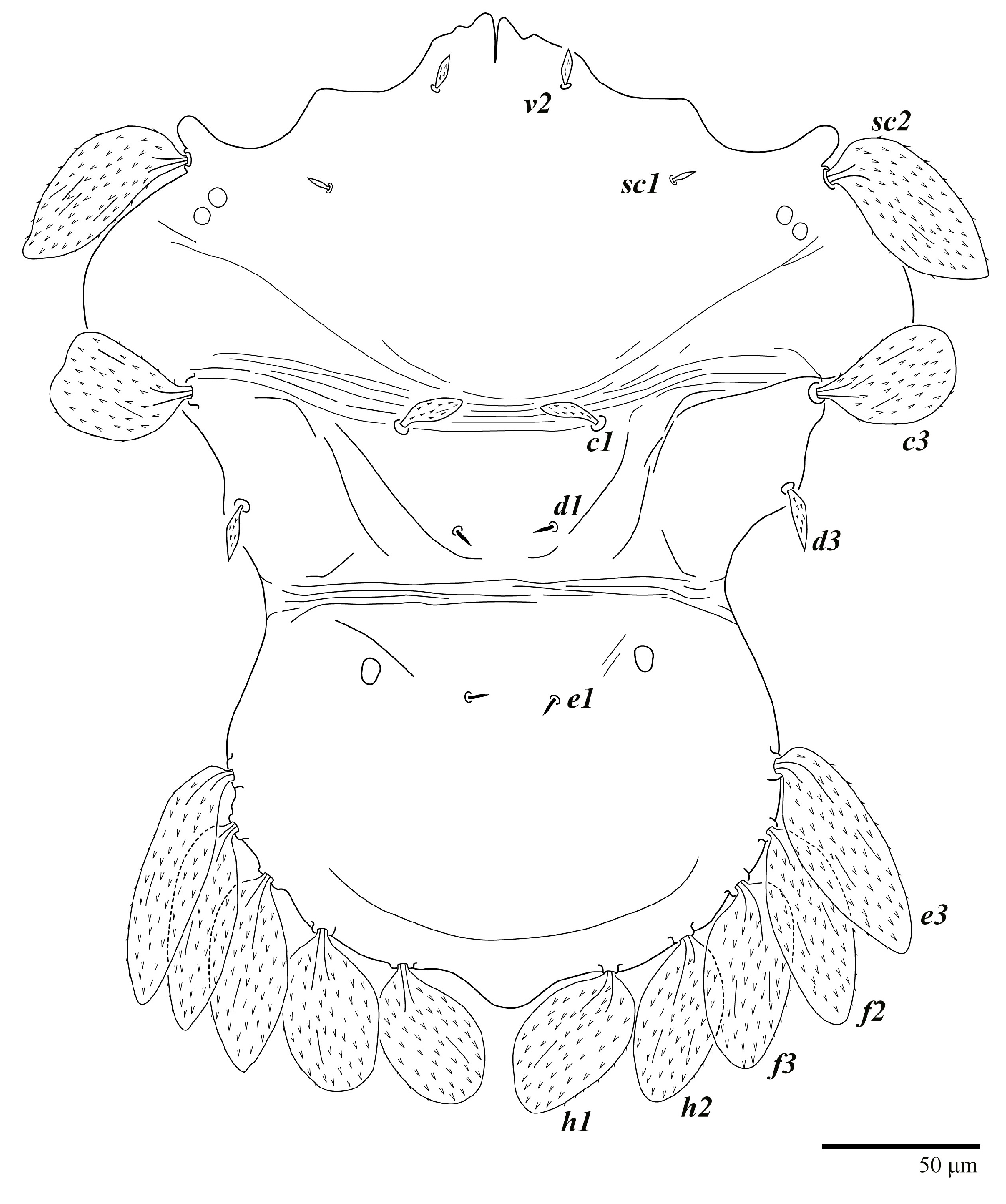 Animals 13 01838 g025 Animals 13 01838 g025