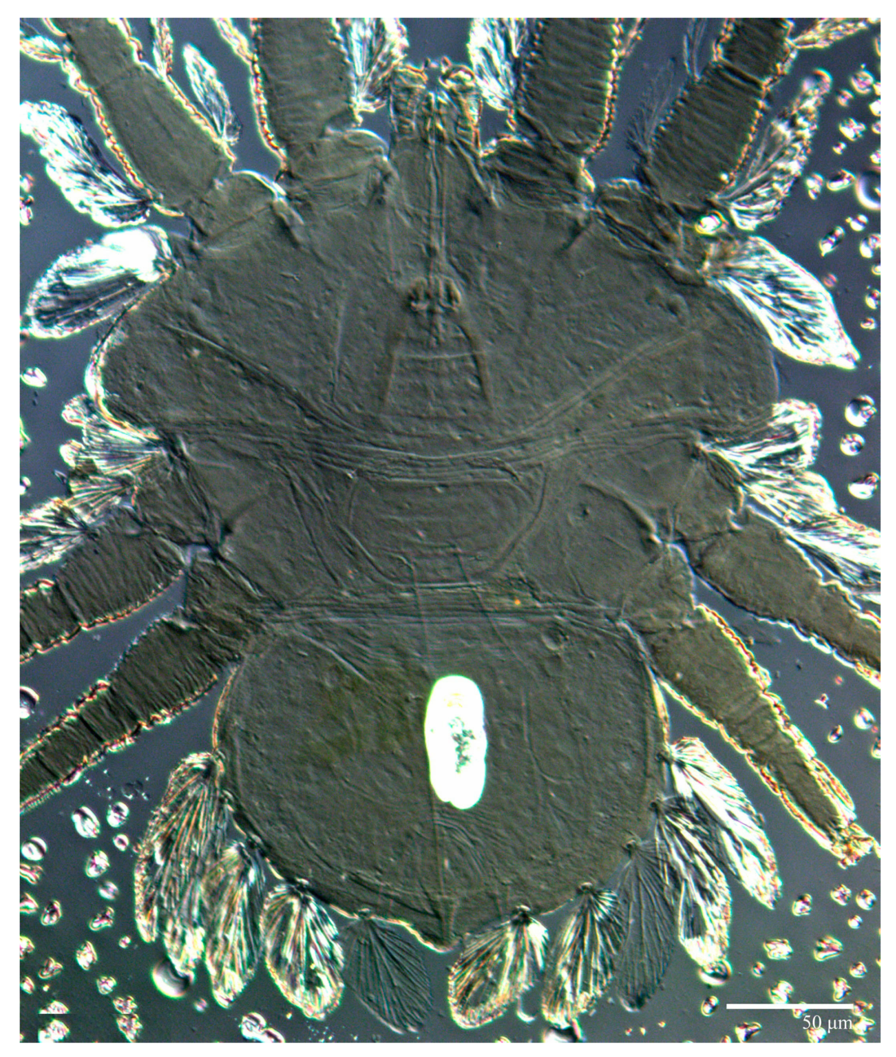 Animals 13 01838 g026 Animals 13 01838 g026