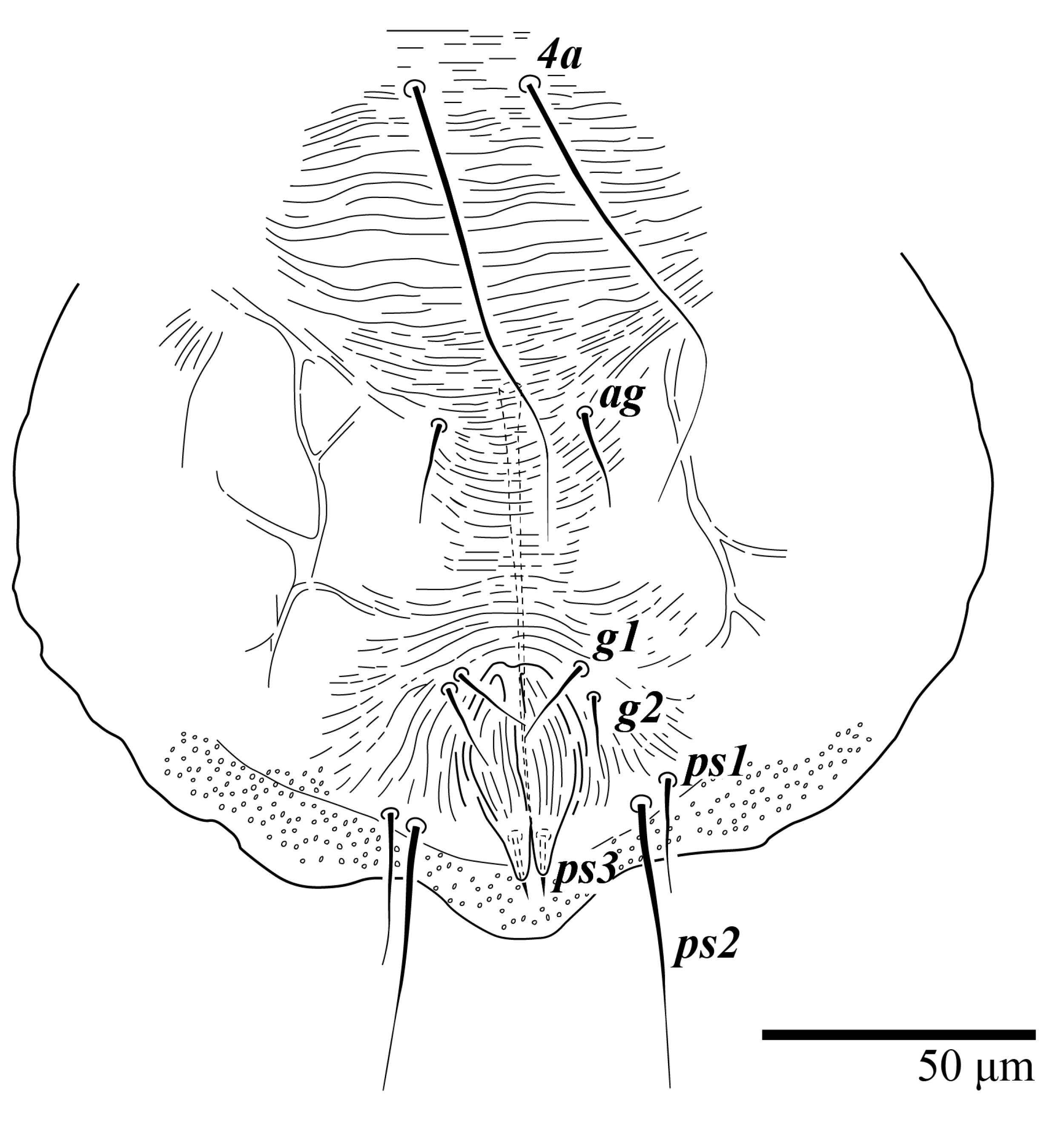Animals 13 01838 g027 Animals 13 01838 g027