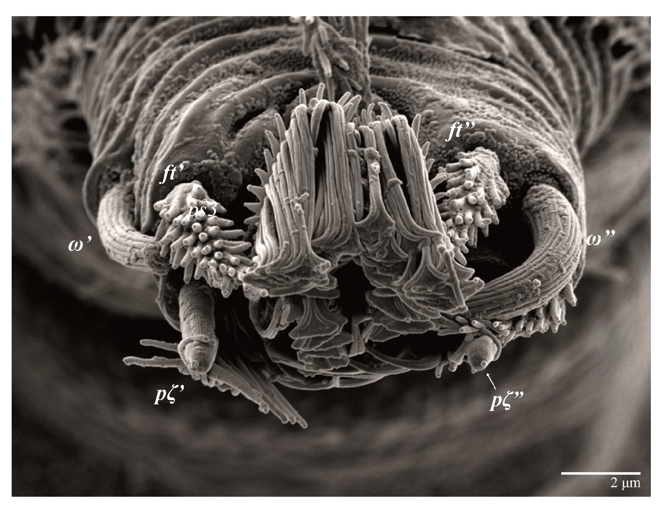 Animals 13 01838 g029 Animals 13 01838 g029