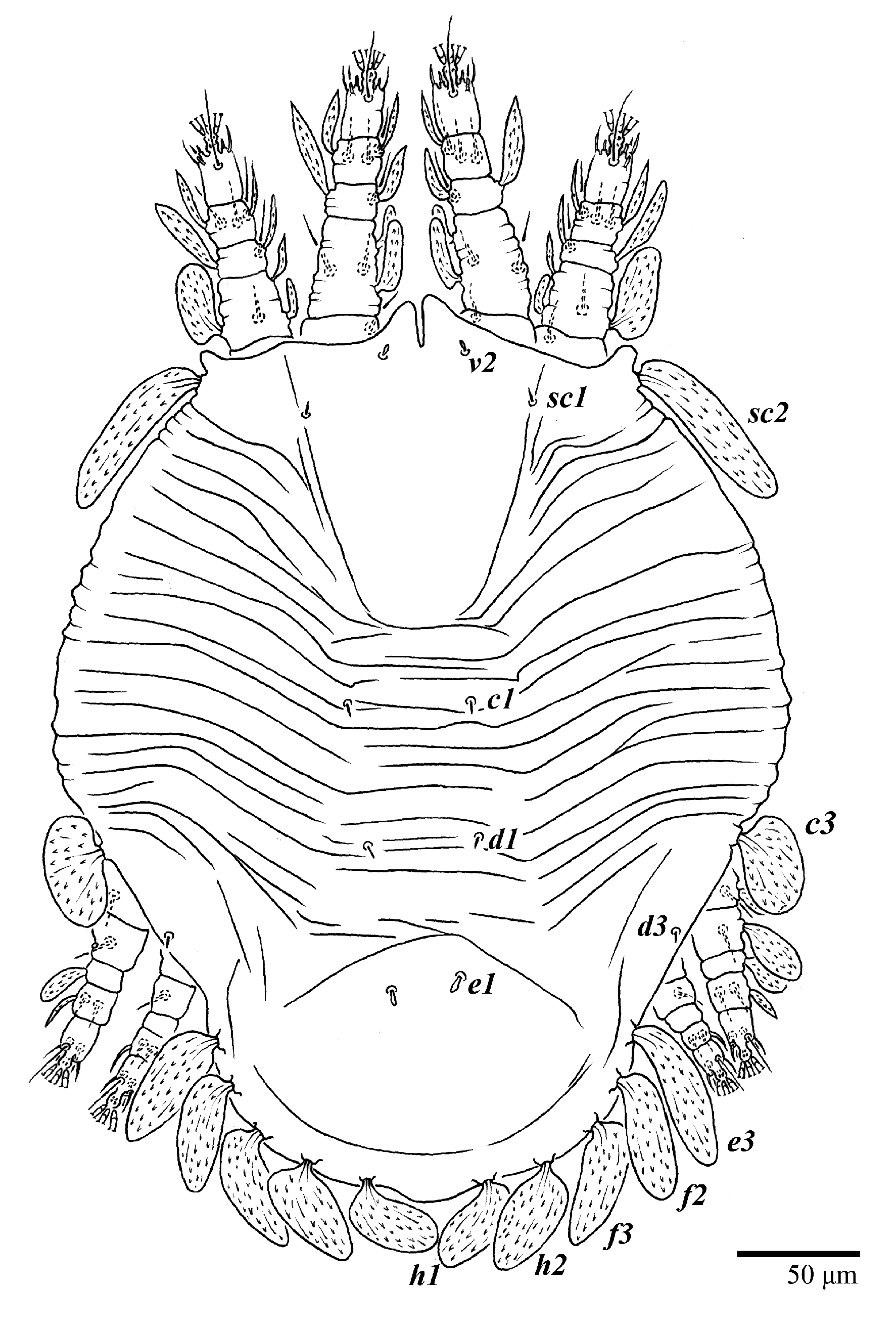 Animals 13 01838 g030 Animals 13 01838 g030
