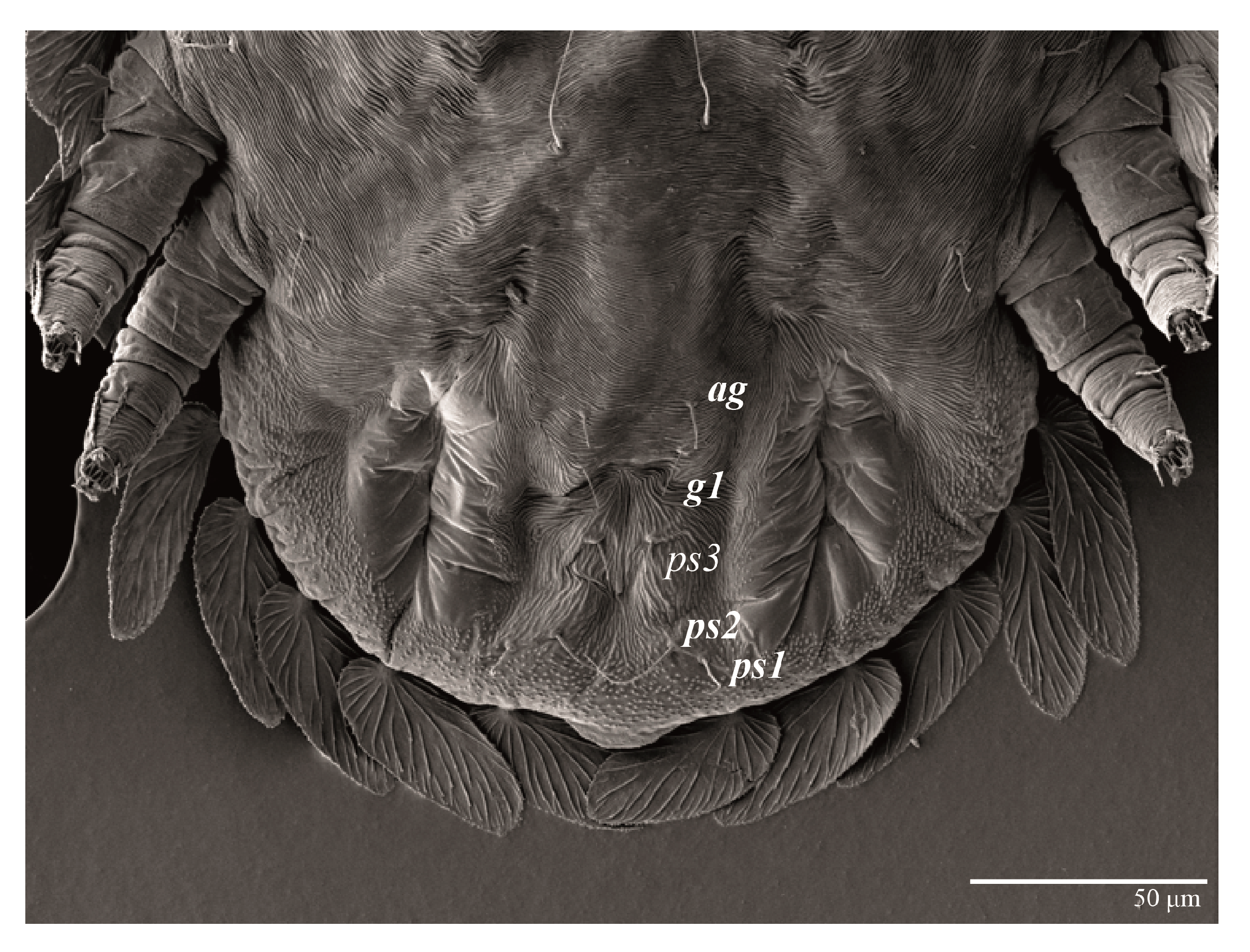 Animals 13 01838 g031 Animals 13 01838 g031