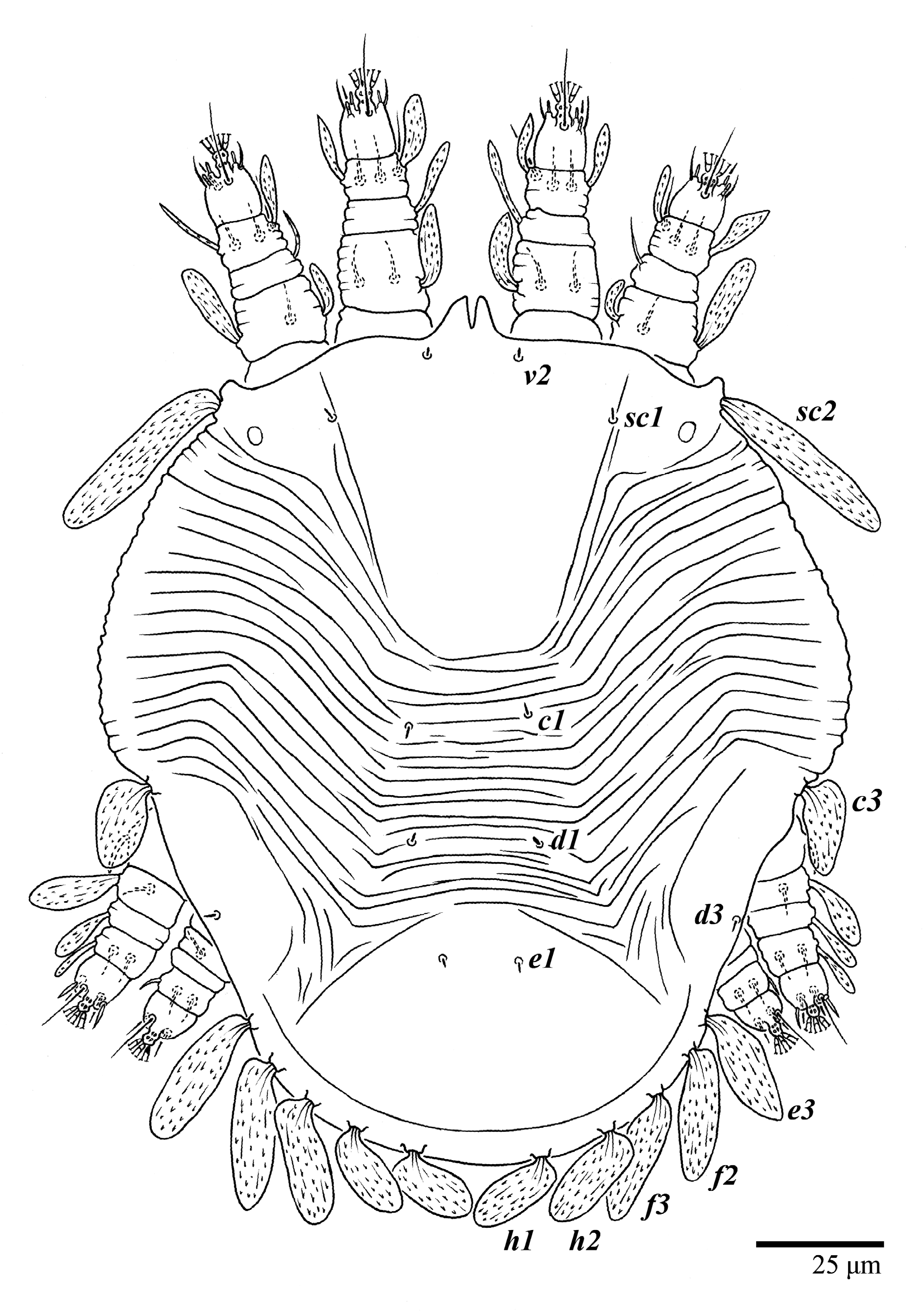 Animals 13 01838 g032 Animals 13 01838 g032