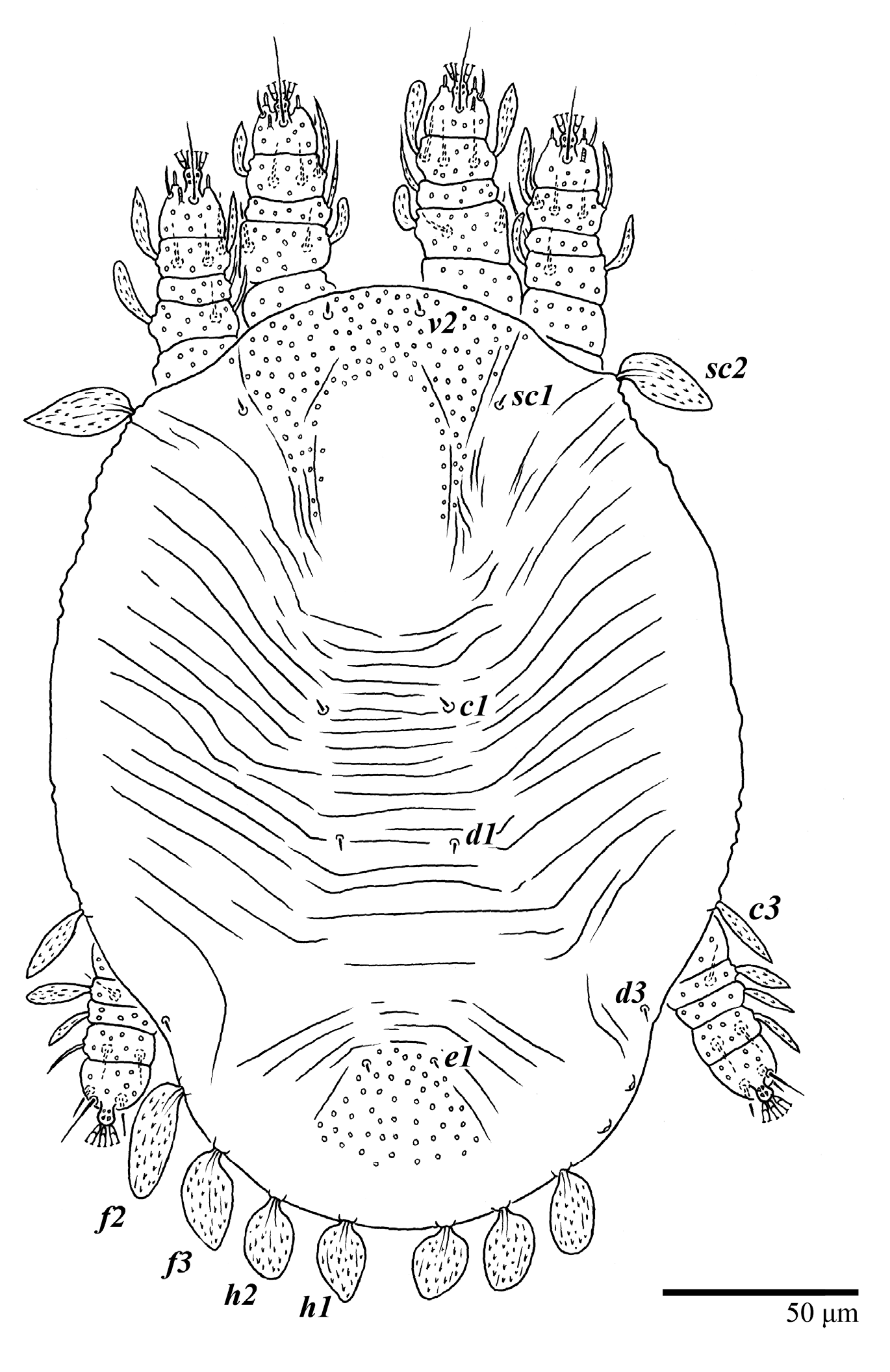 Animals 13 01838 g033 Animals 13 01838 g033