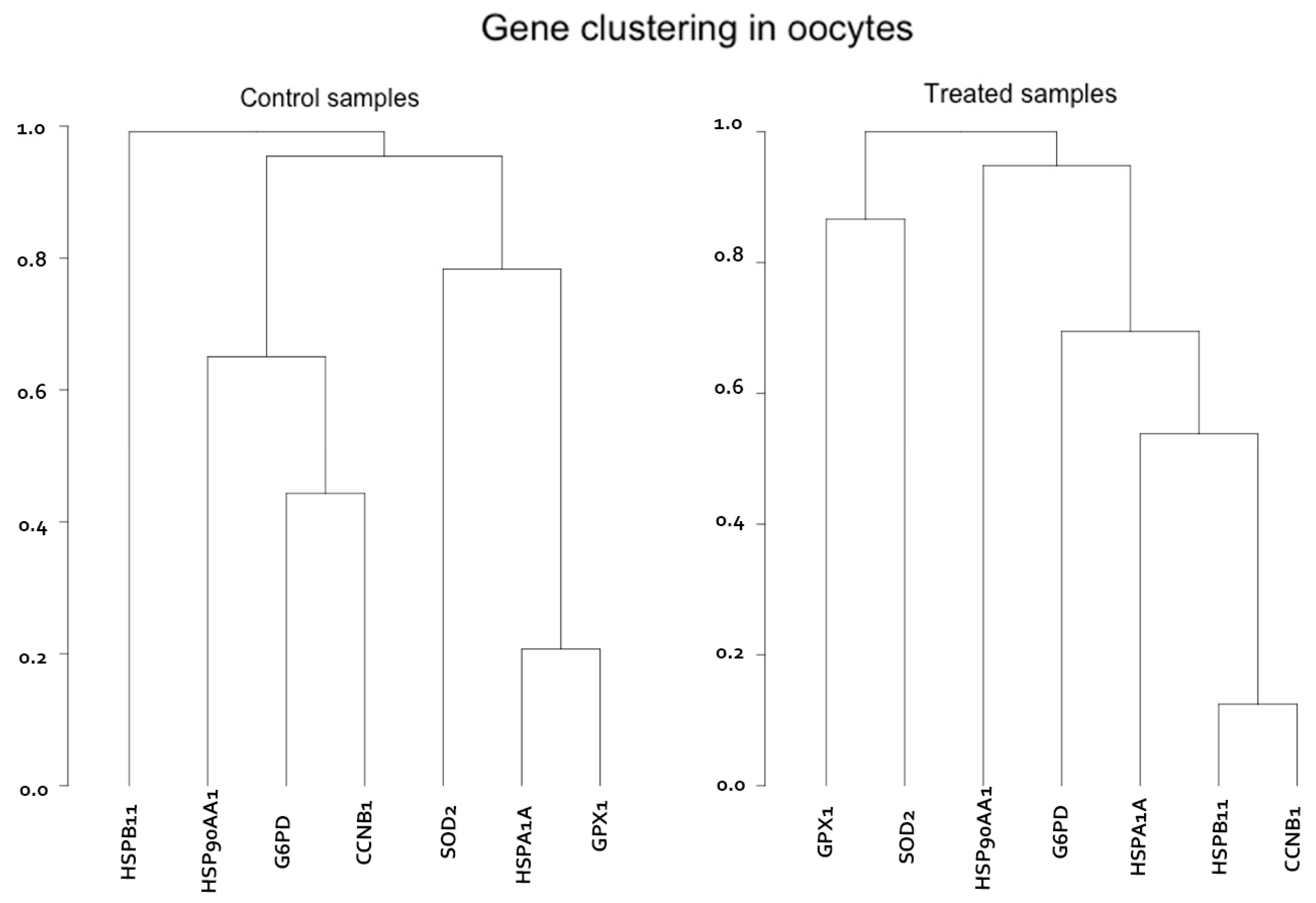 Animals 13 01846 g002