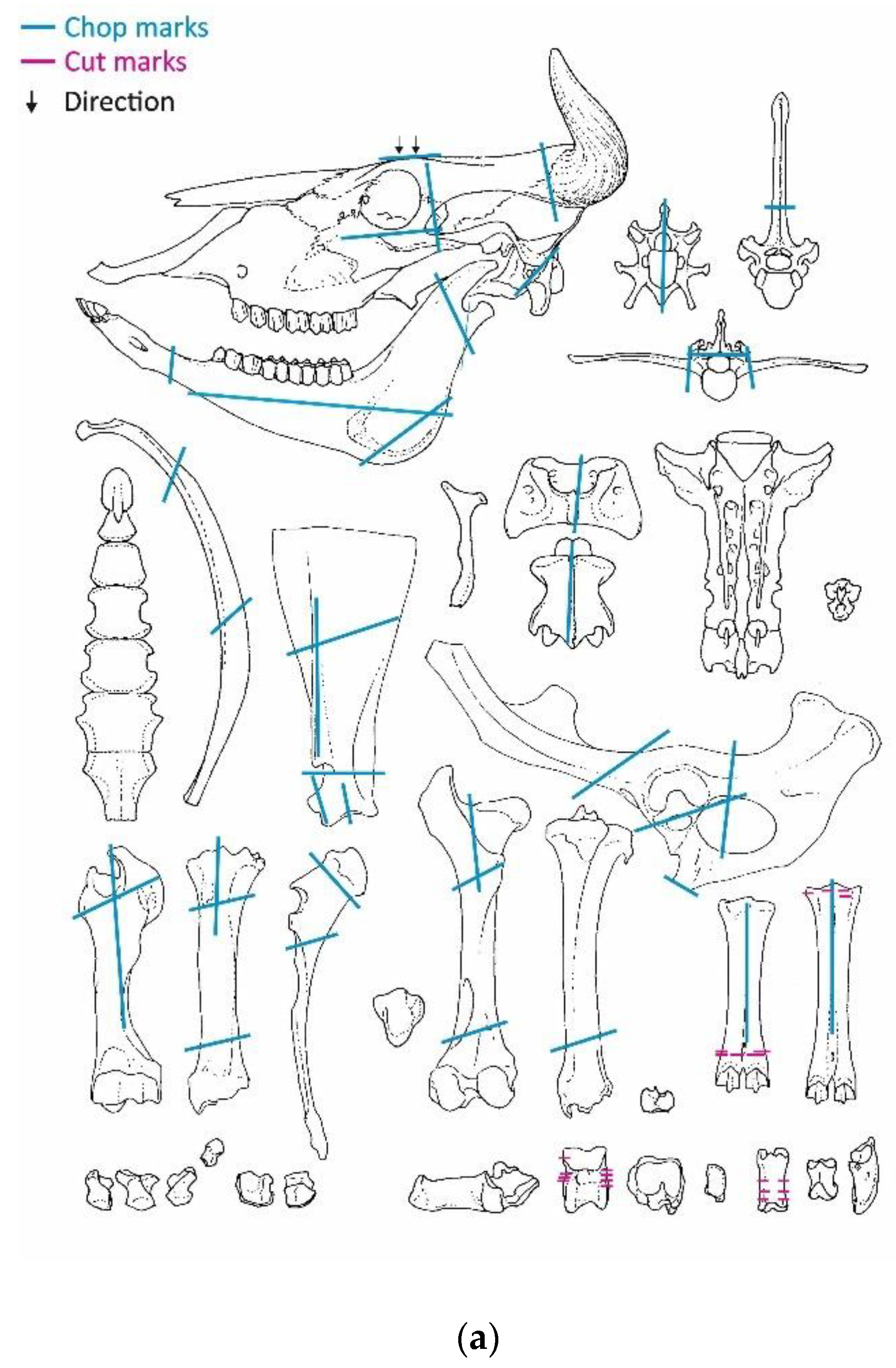 Animals 13 01847 g006a Animals 13 01847 g006a