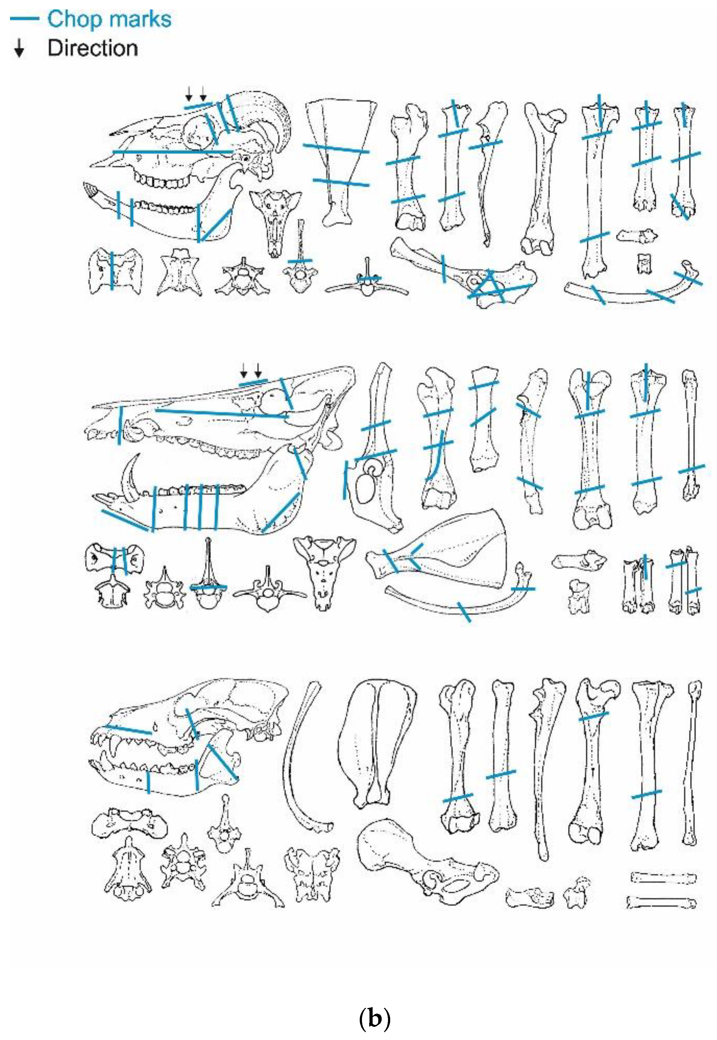 Animals 13 01847 g006b Animals 13 01847 g006b