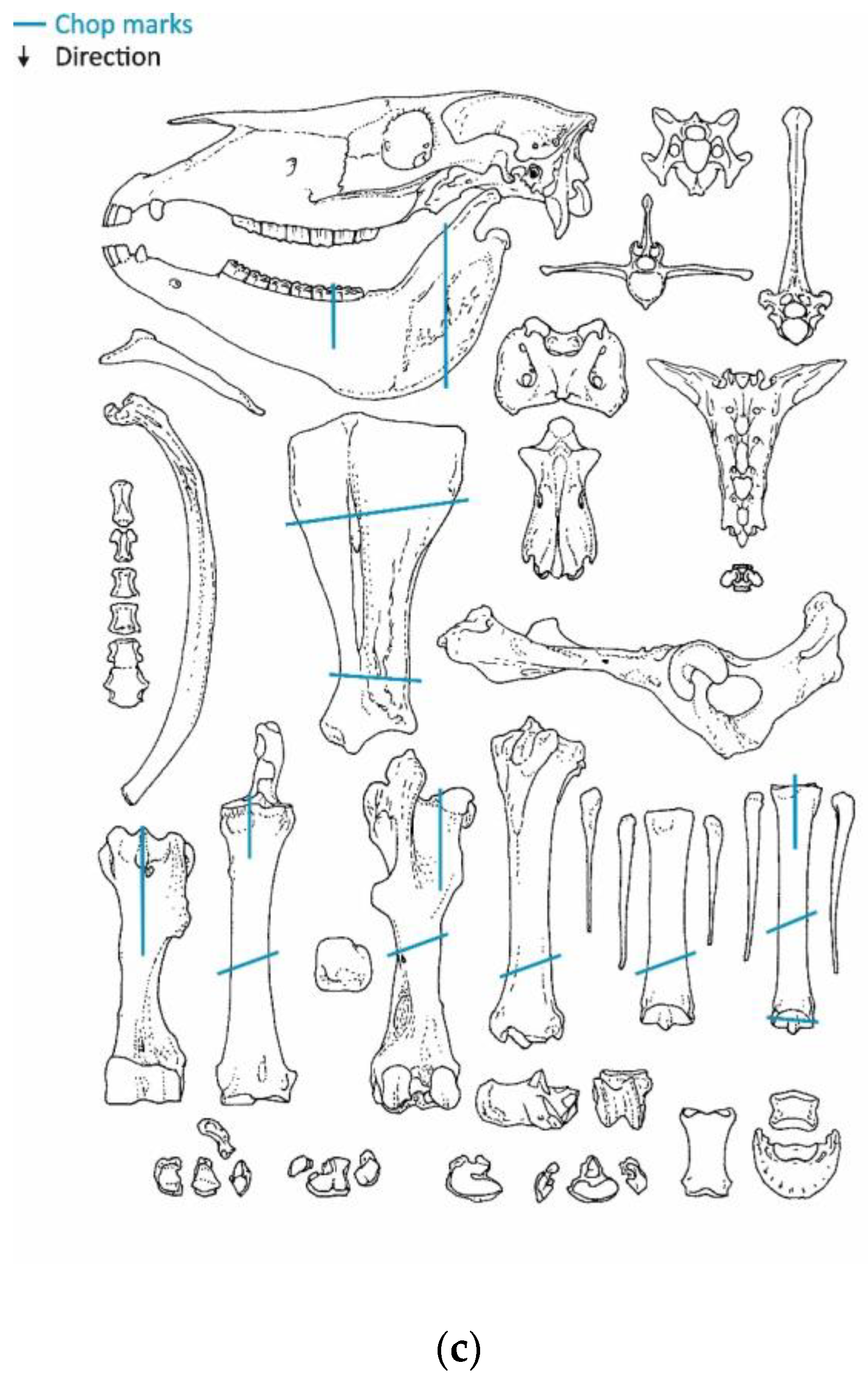 Animals 13 01847 g006c Animals 13 01847 g006c